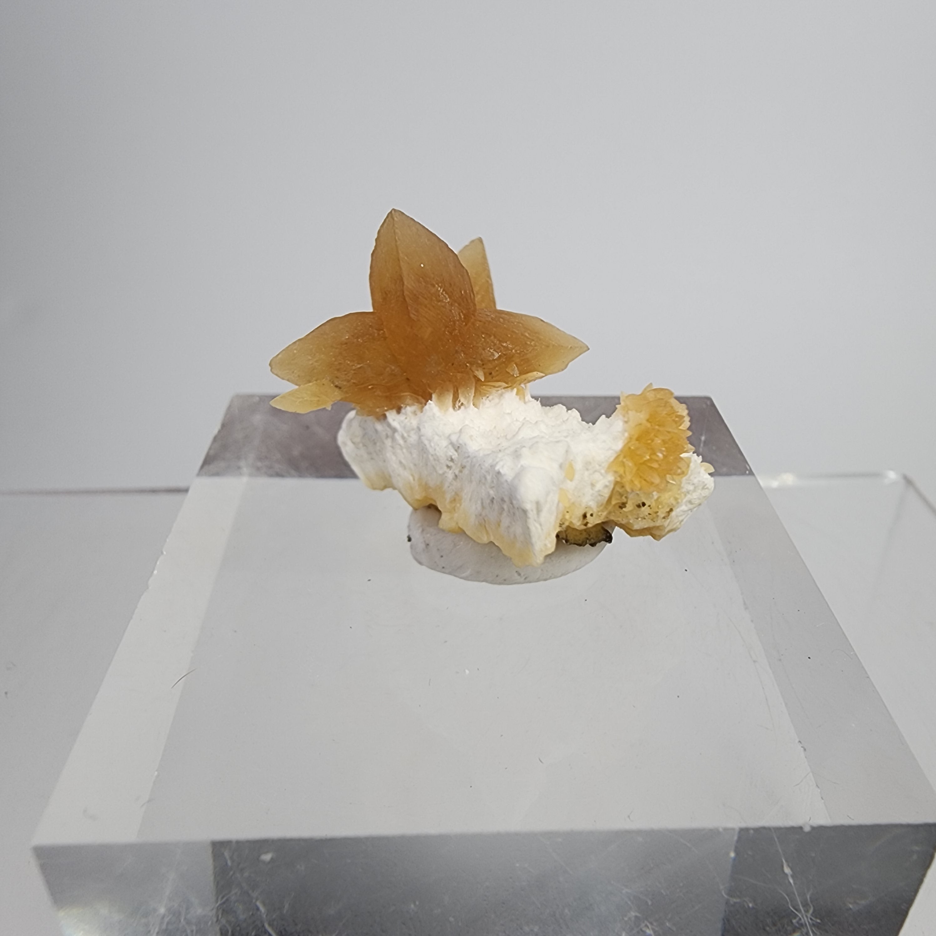 Golden Calcite on Mordenite Specimen #10 from Aurangabad, Maharashtra, India