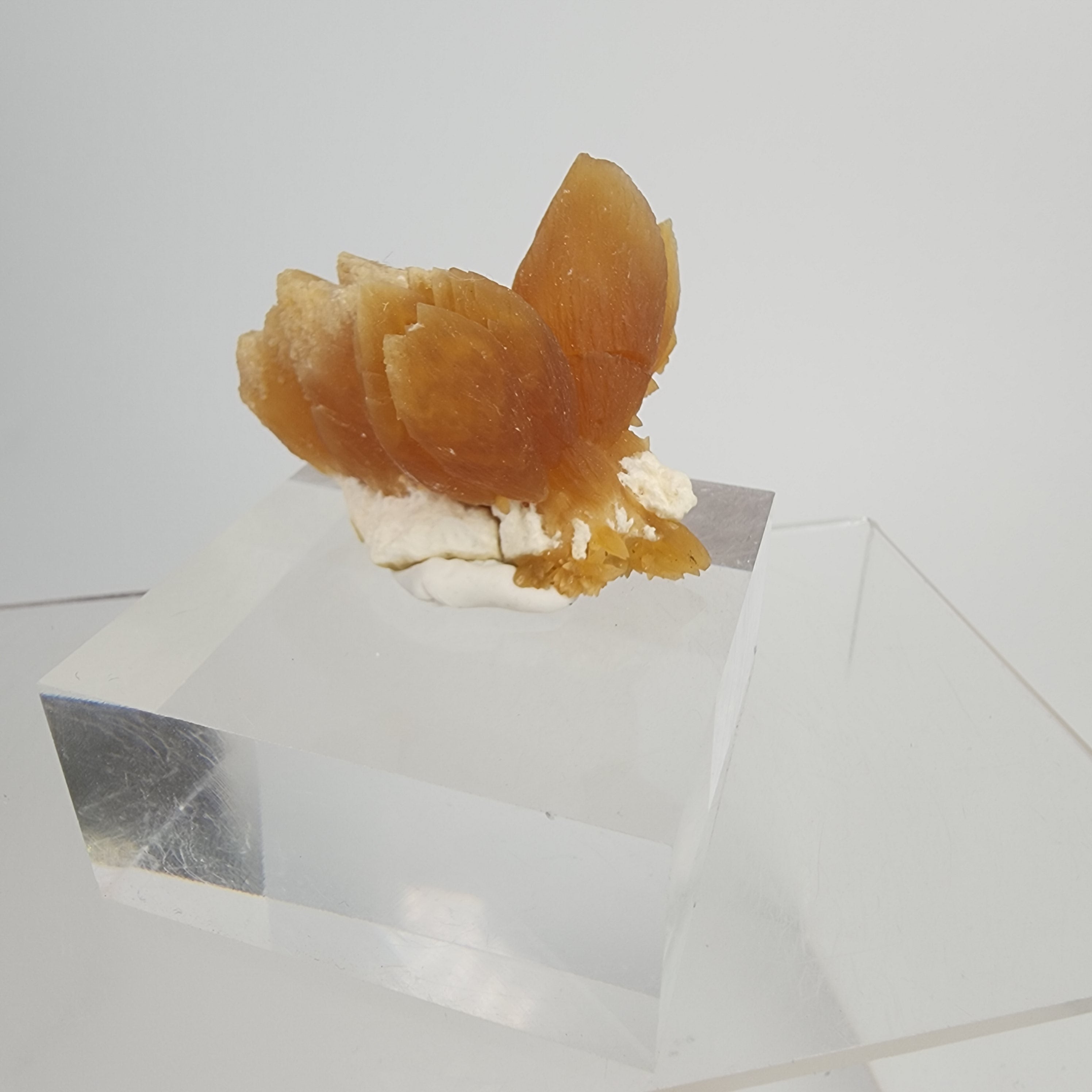 Golden Calcite on Mordenite Specimen #12 from Aurangabad, Maharashtra, India