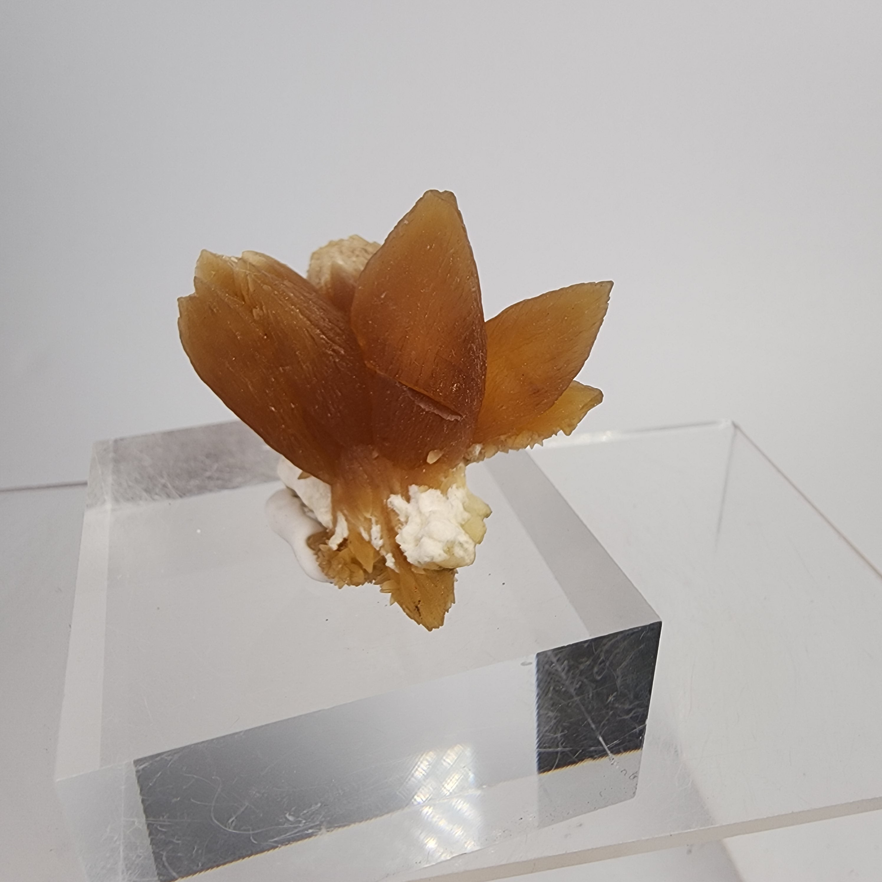 Golden Calcite on Mordenite Specimen #12 from Aurangabad, Maharashtra, India