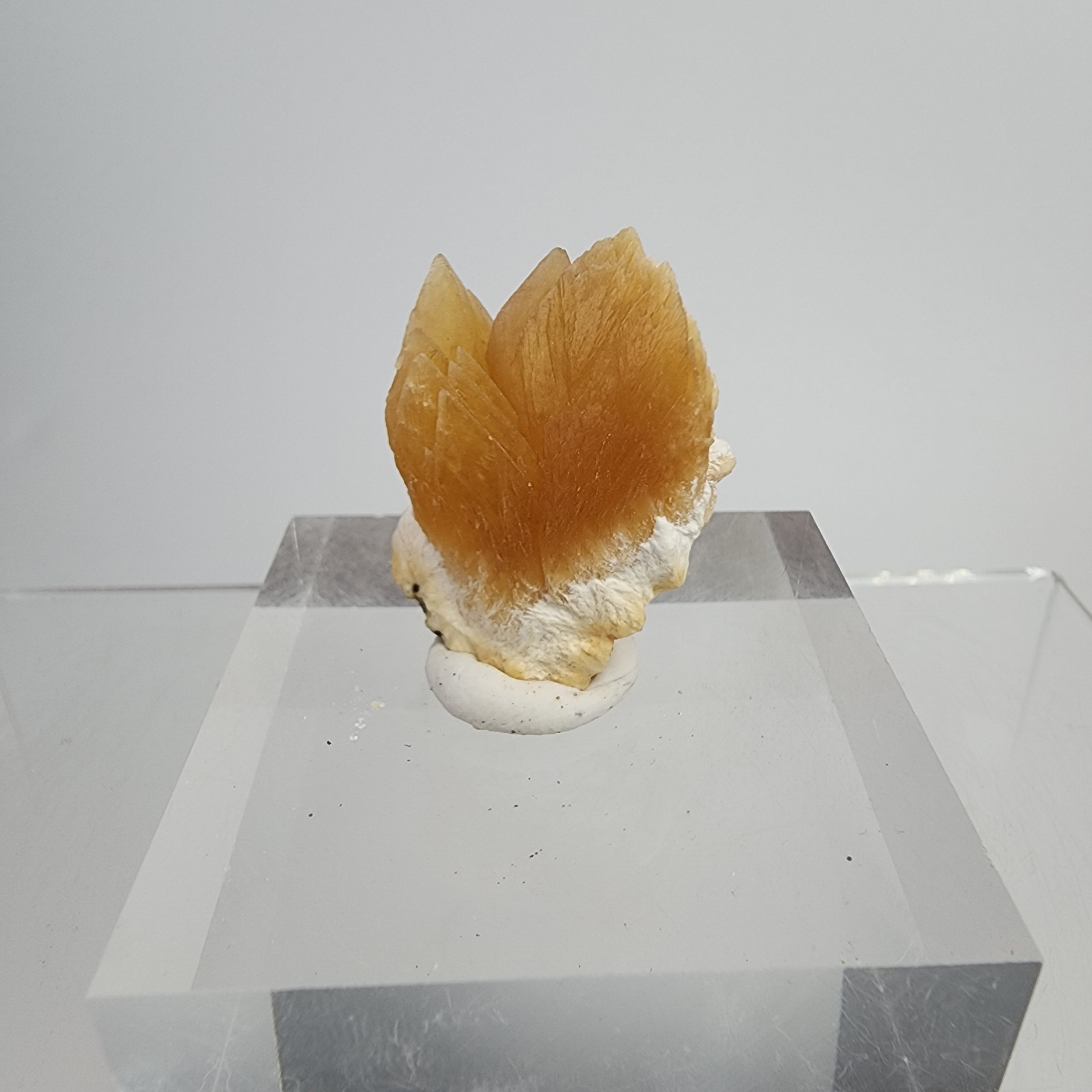 Golden Calcite on Mordenite Specimen #14 from Aurangabad, Maharashtra, India