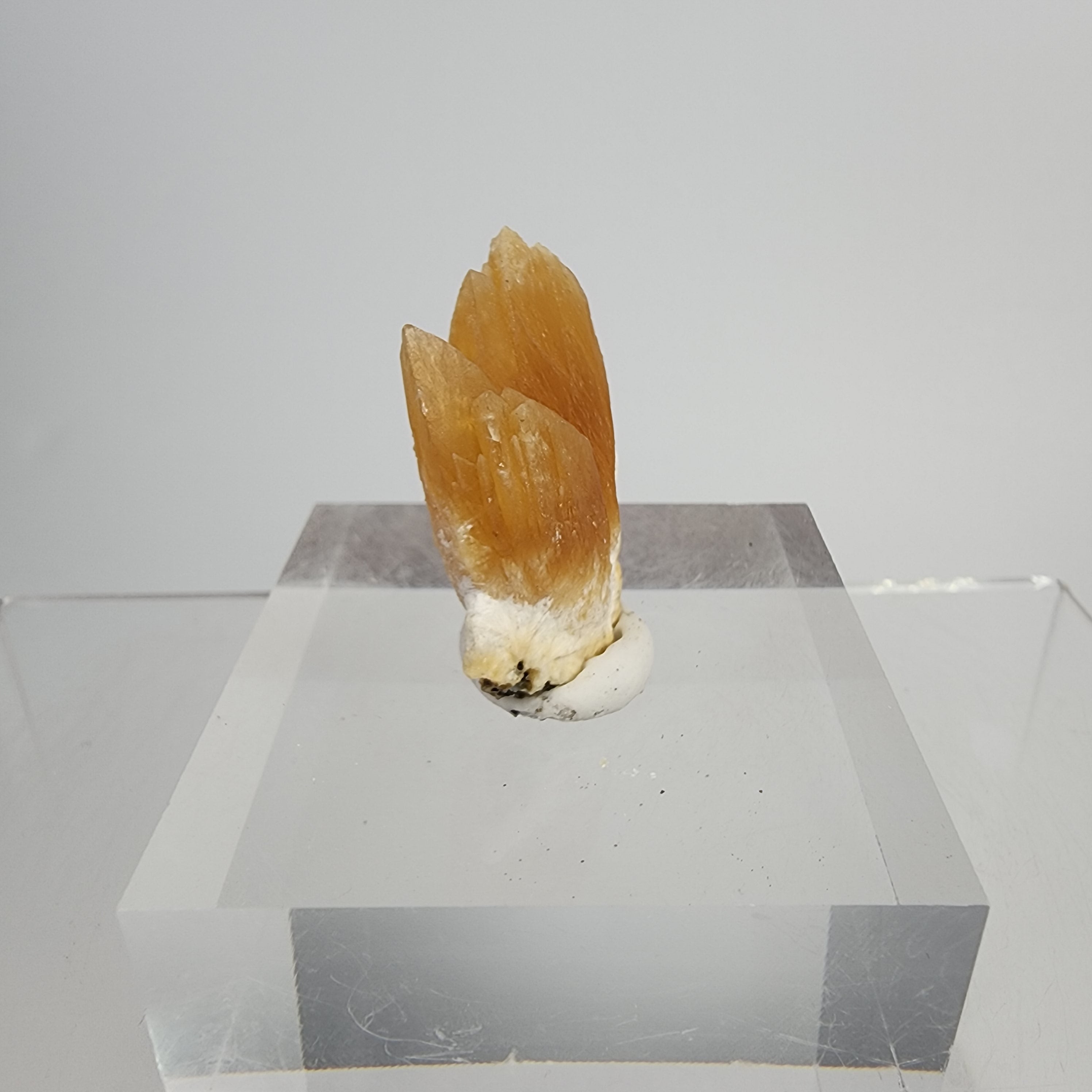 Golden Calcite on Mordenite Specimen #14 from Aurangabad, Maharashtra, India