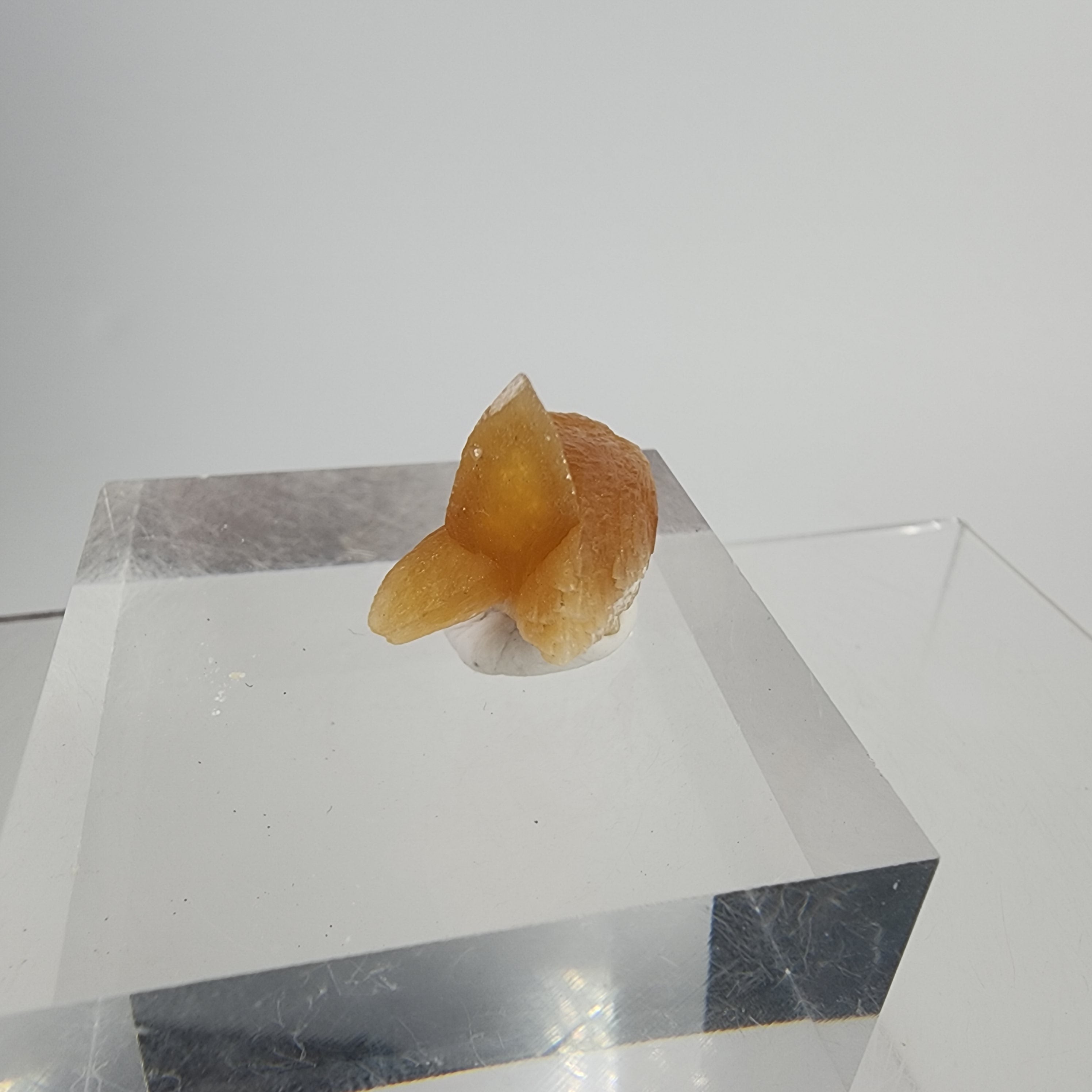 Golden Calcite on Mordenite Specimen #16 from Aurangabad, Maharashtra, India