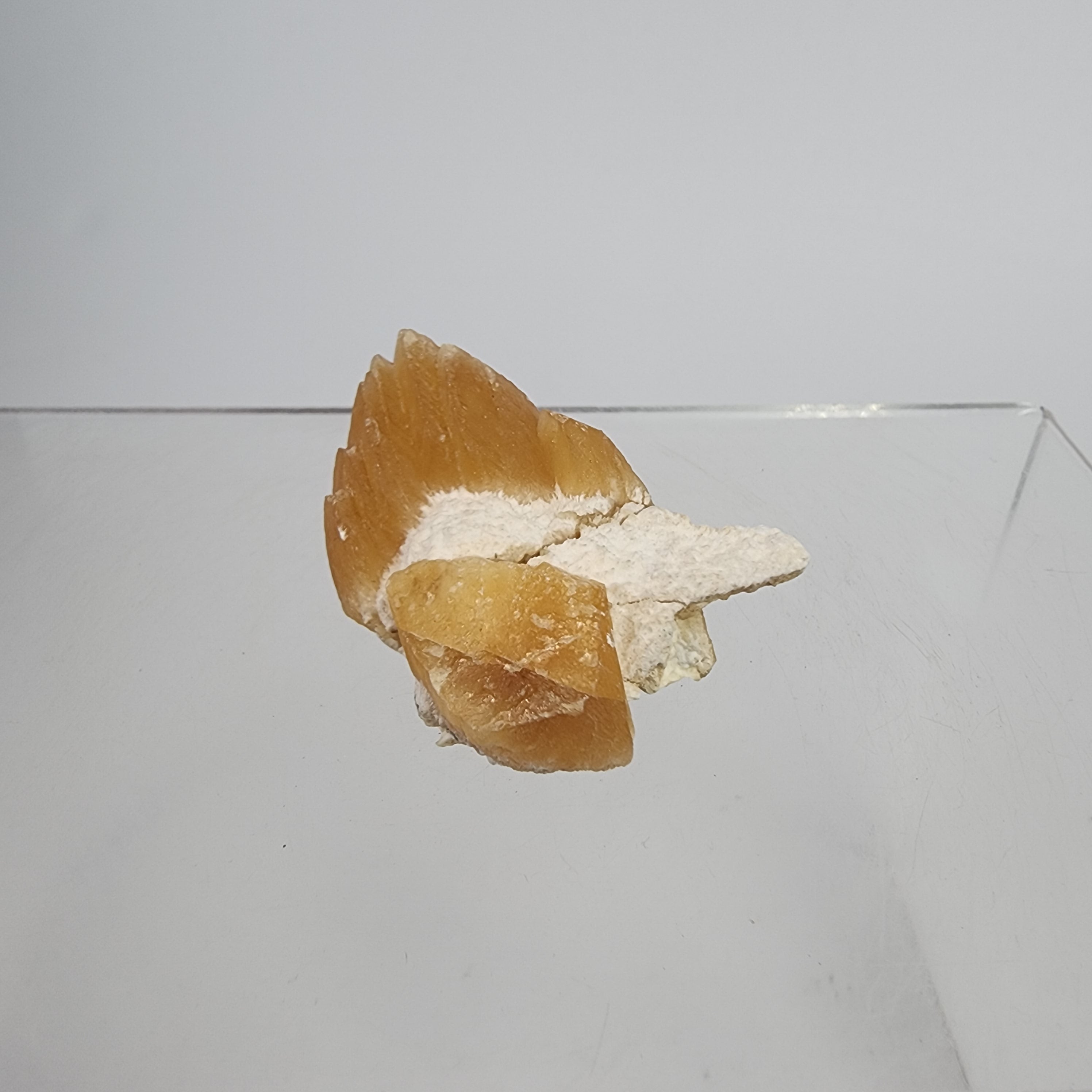 Golden Calcite on Mordenite Specimen #21 from Aurangabad, Maharashtra, India