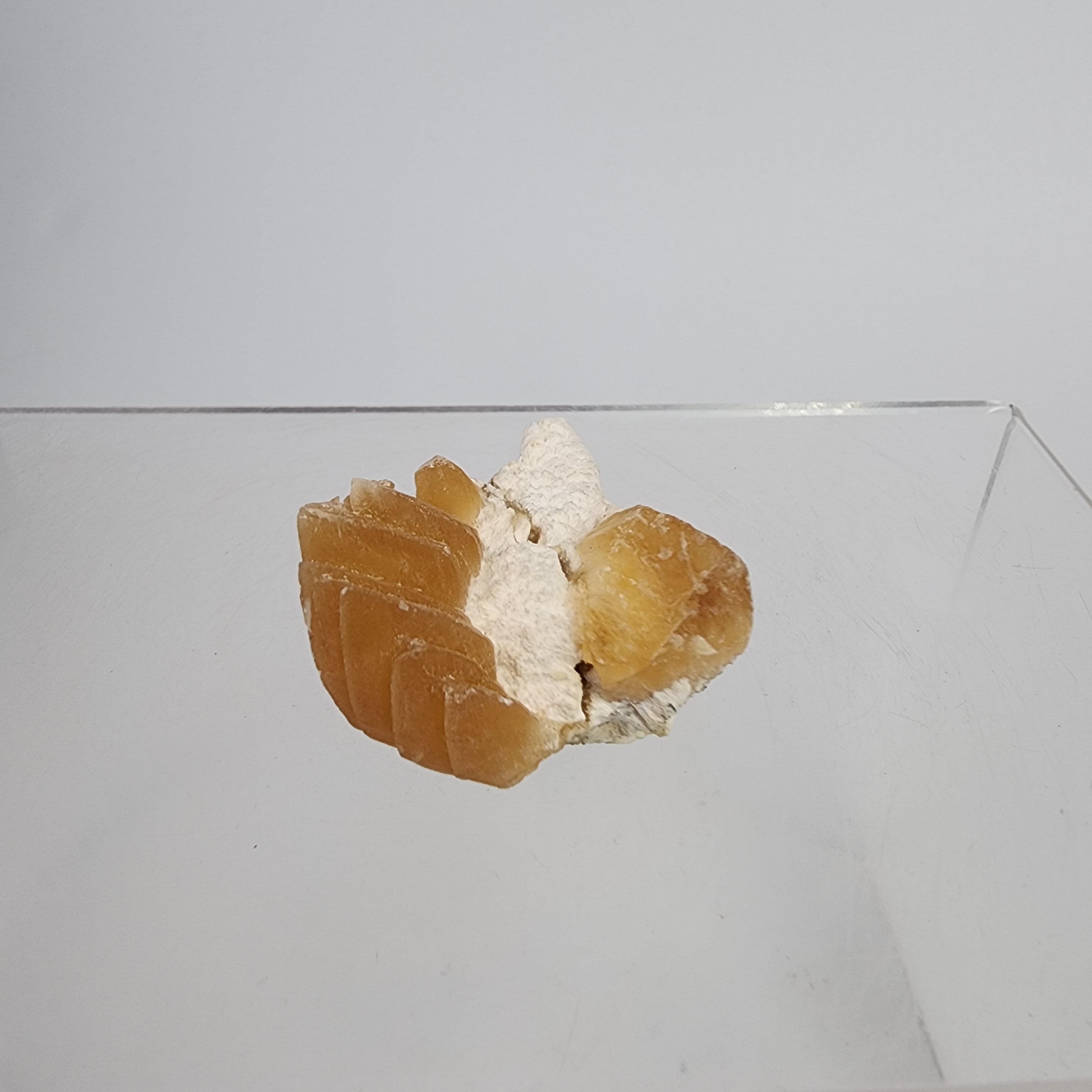 Golden Calcite on Mordenite Specimen #21 from Aurangabad, Maharashtra, India