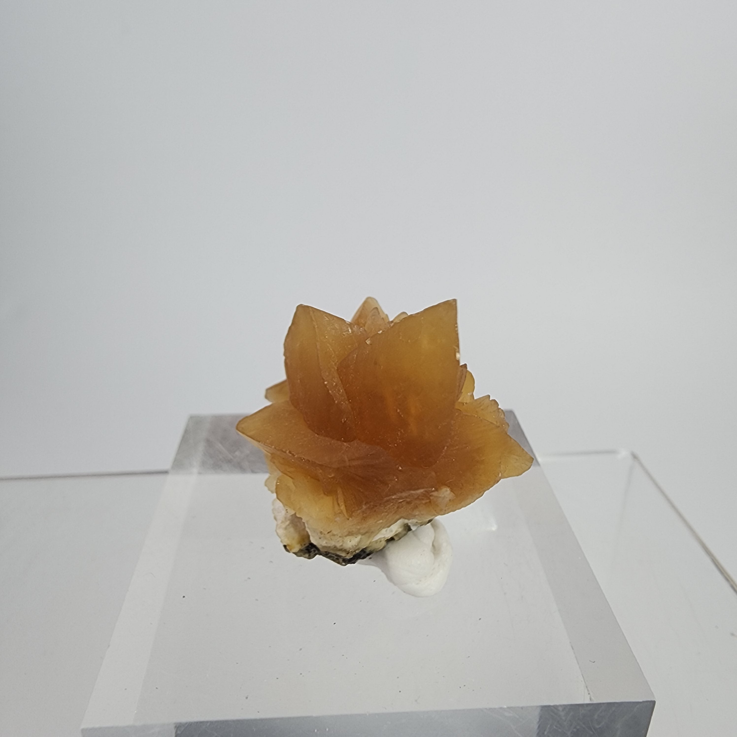 Golden Calcite on Mordenite Specimen #22 from Aurangabad, Maharashtra, India