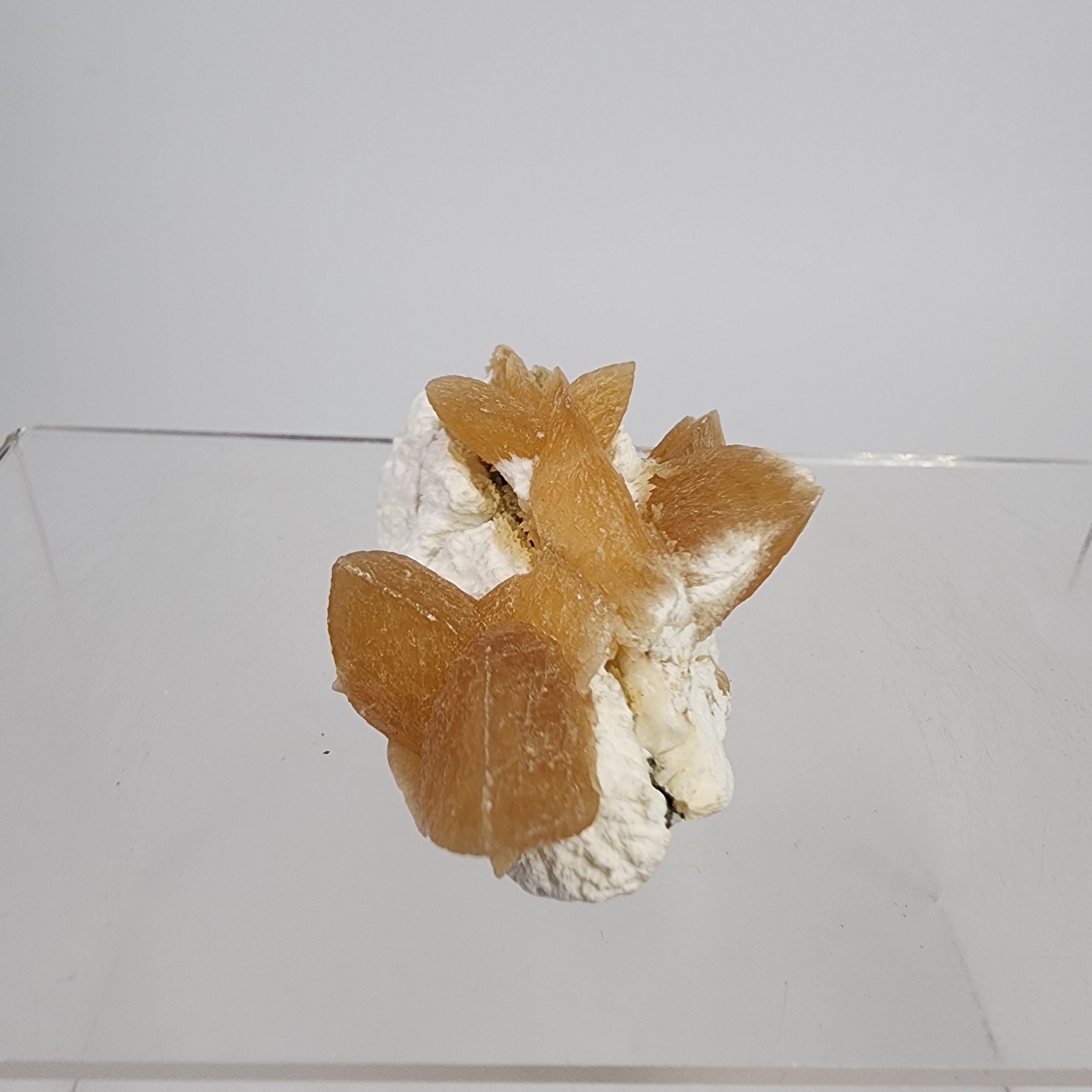 Golden Calcite on Mordenite Specimen #28 from Aurangabad, Maharashtra, India