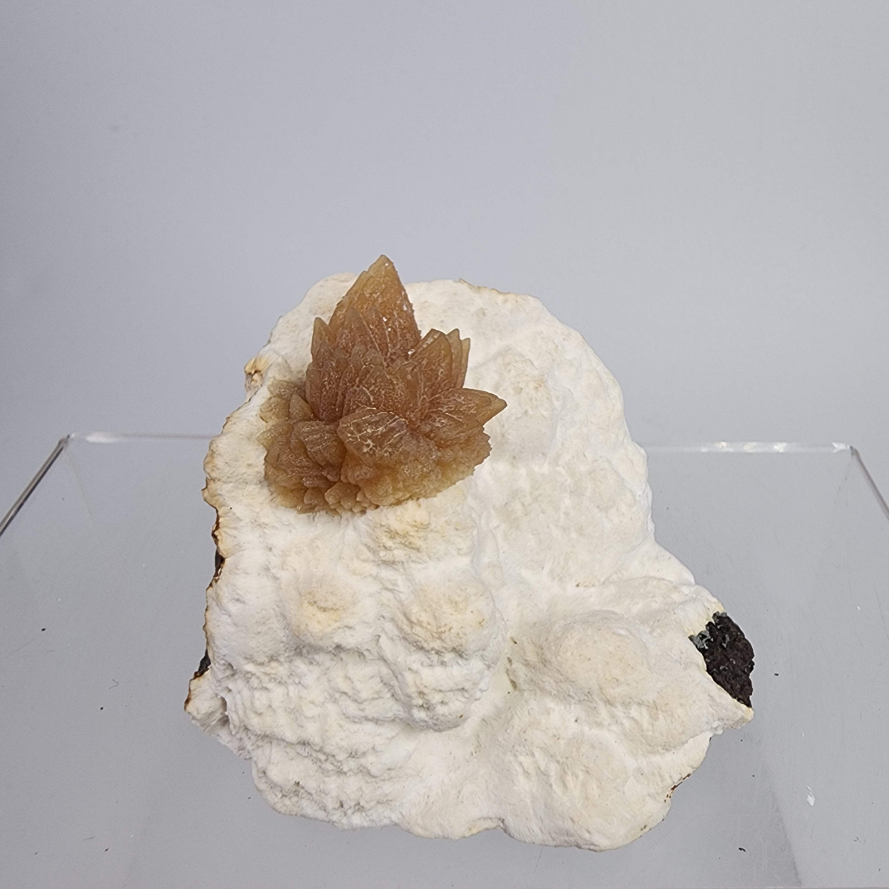 Golden Calcite on Mordenite Specimen #35 from Aurangabad, Maharashtra, India