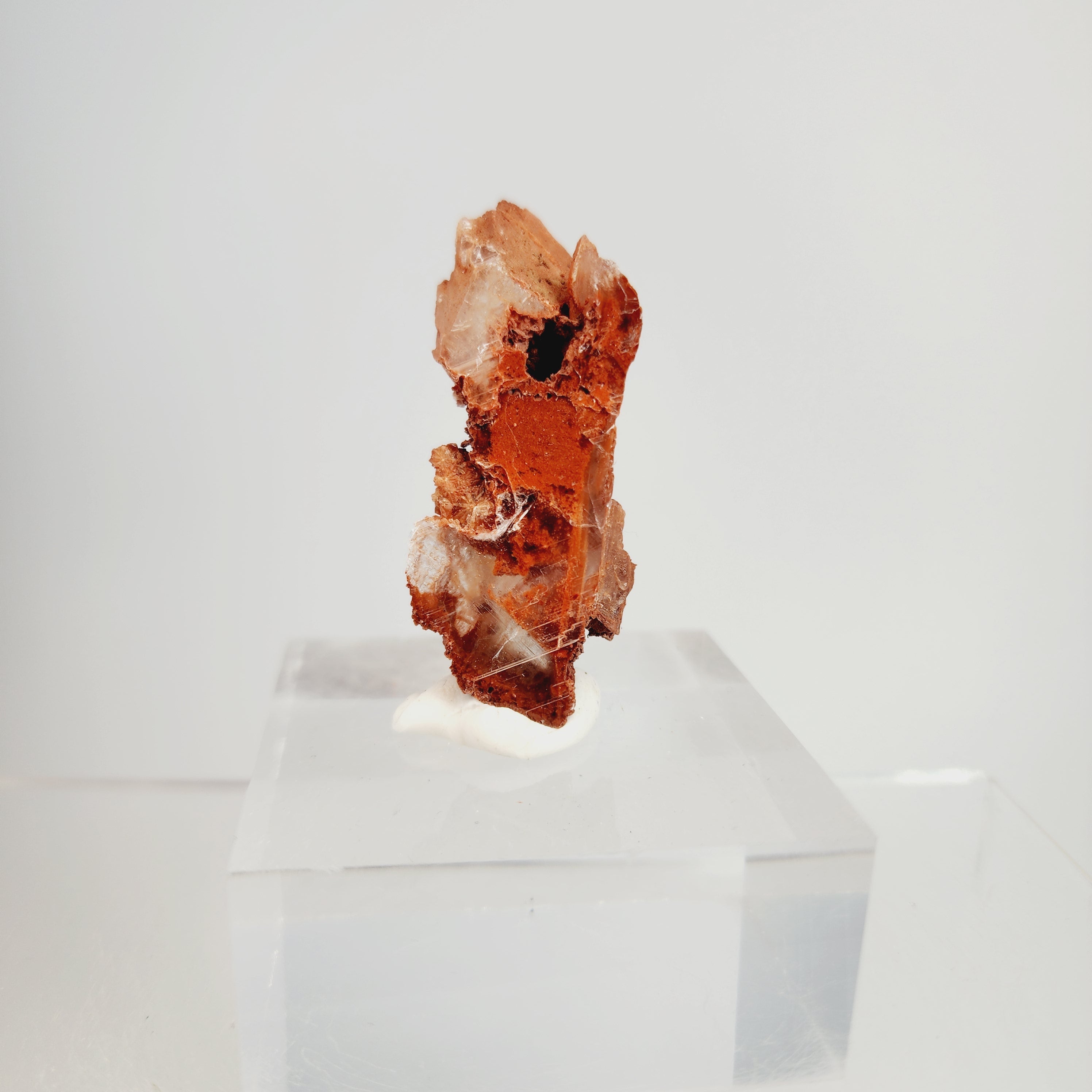 Clay Inclusions Red Phantom Selenite (red clay inclusions) from Valencia, Spain ...
