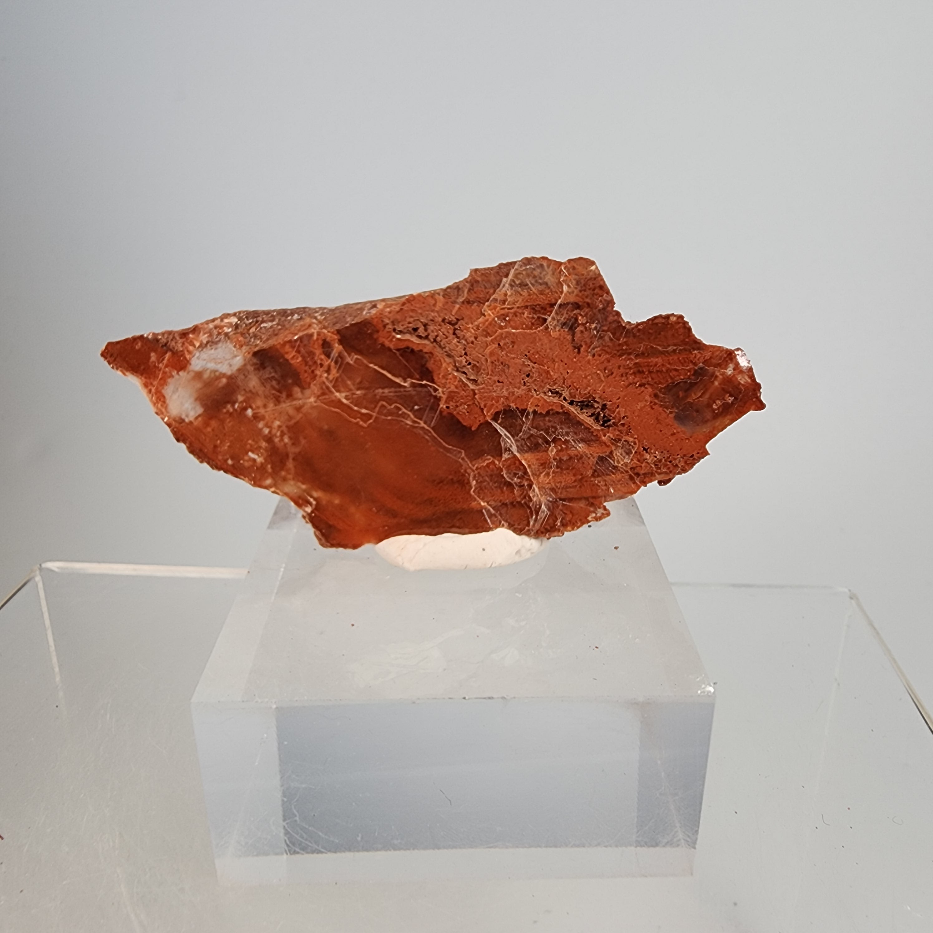 Red Phantom Selenite (red clay inclusions) Specimen #11 from Valencia, Spain