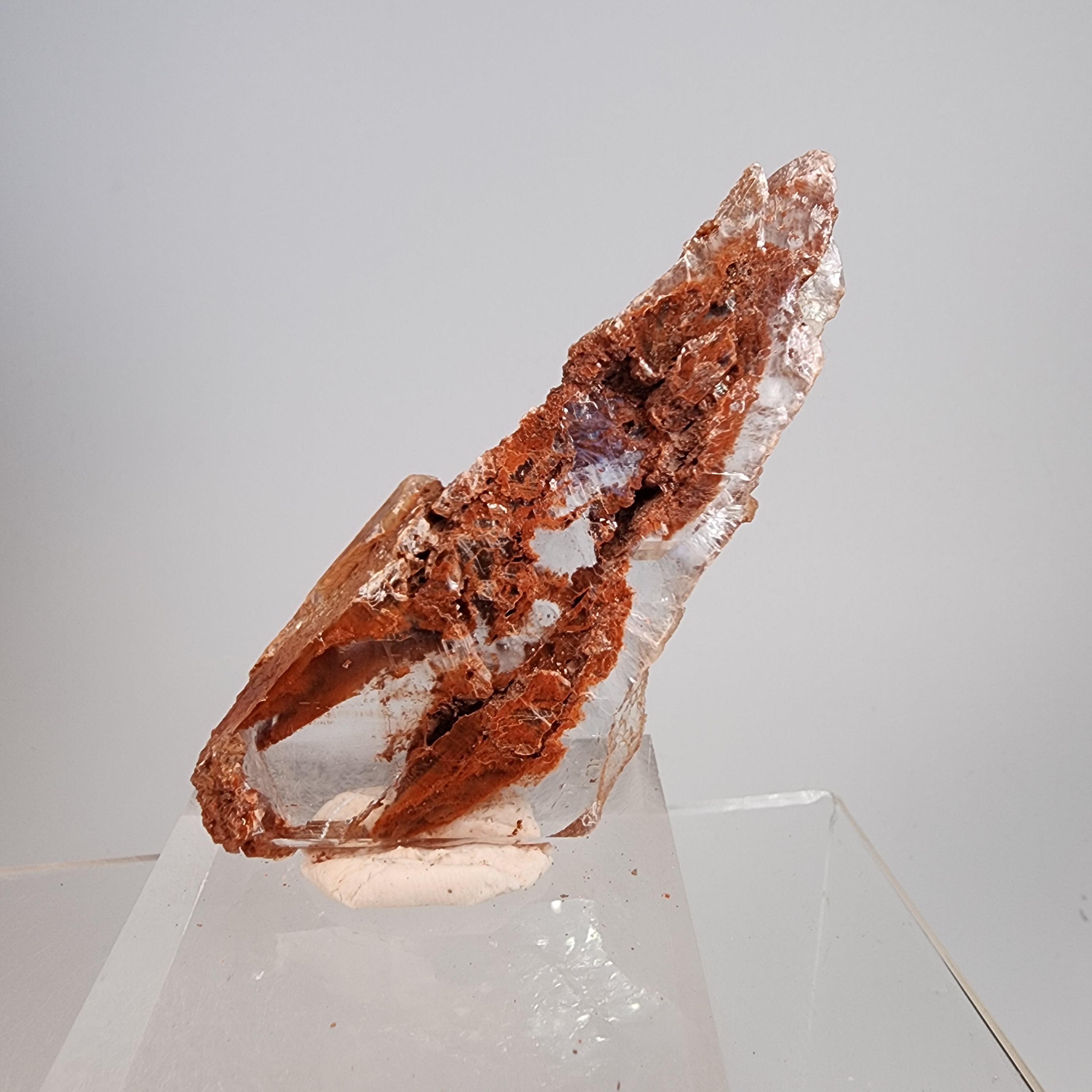 Clay Inclusions Red Phantom Selenite (red clay inclusions) from Valencia, Spain ...