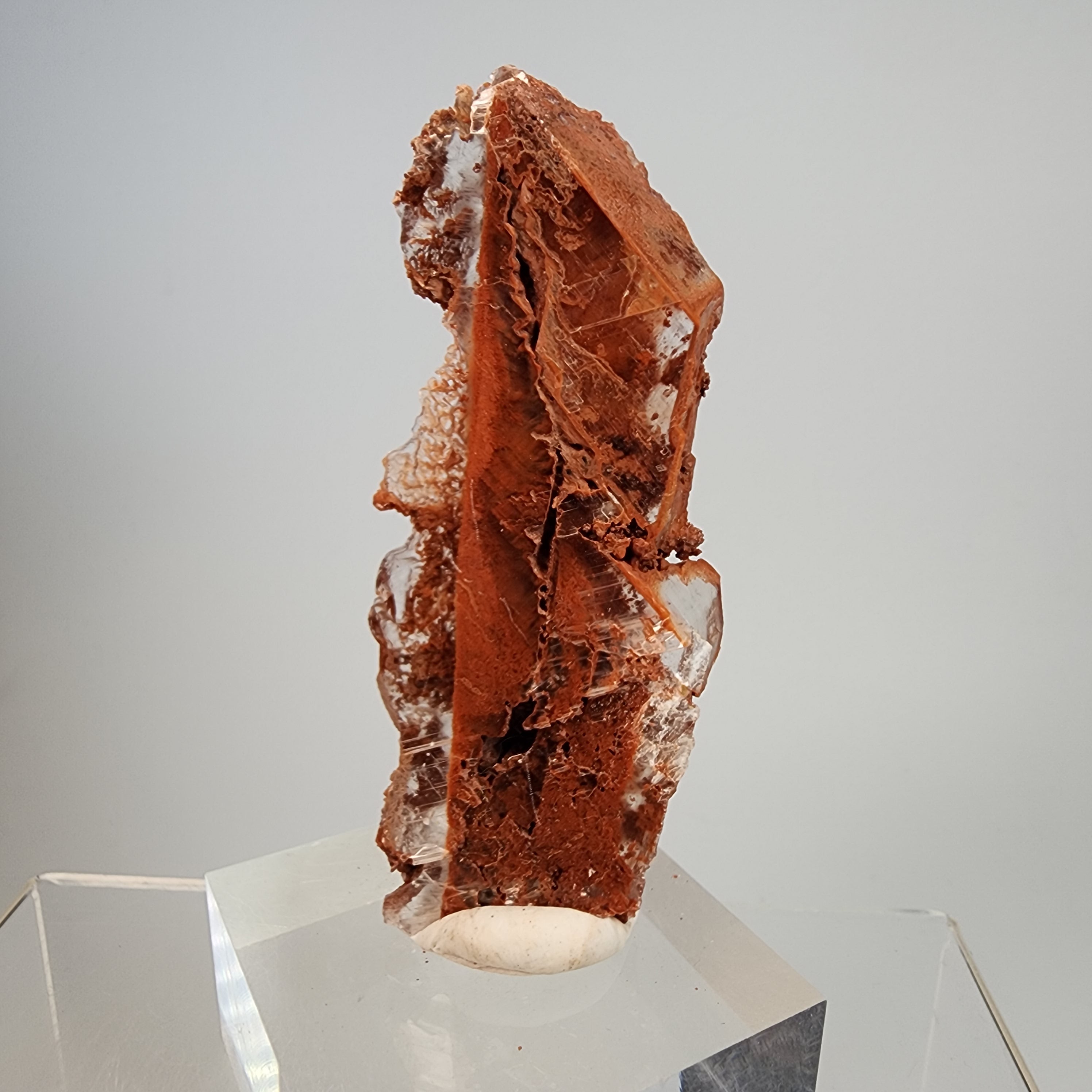Clay Inclusions Red Phantom Selenite (red clay inclusions) from Valencia, Spain ...