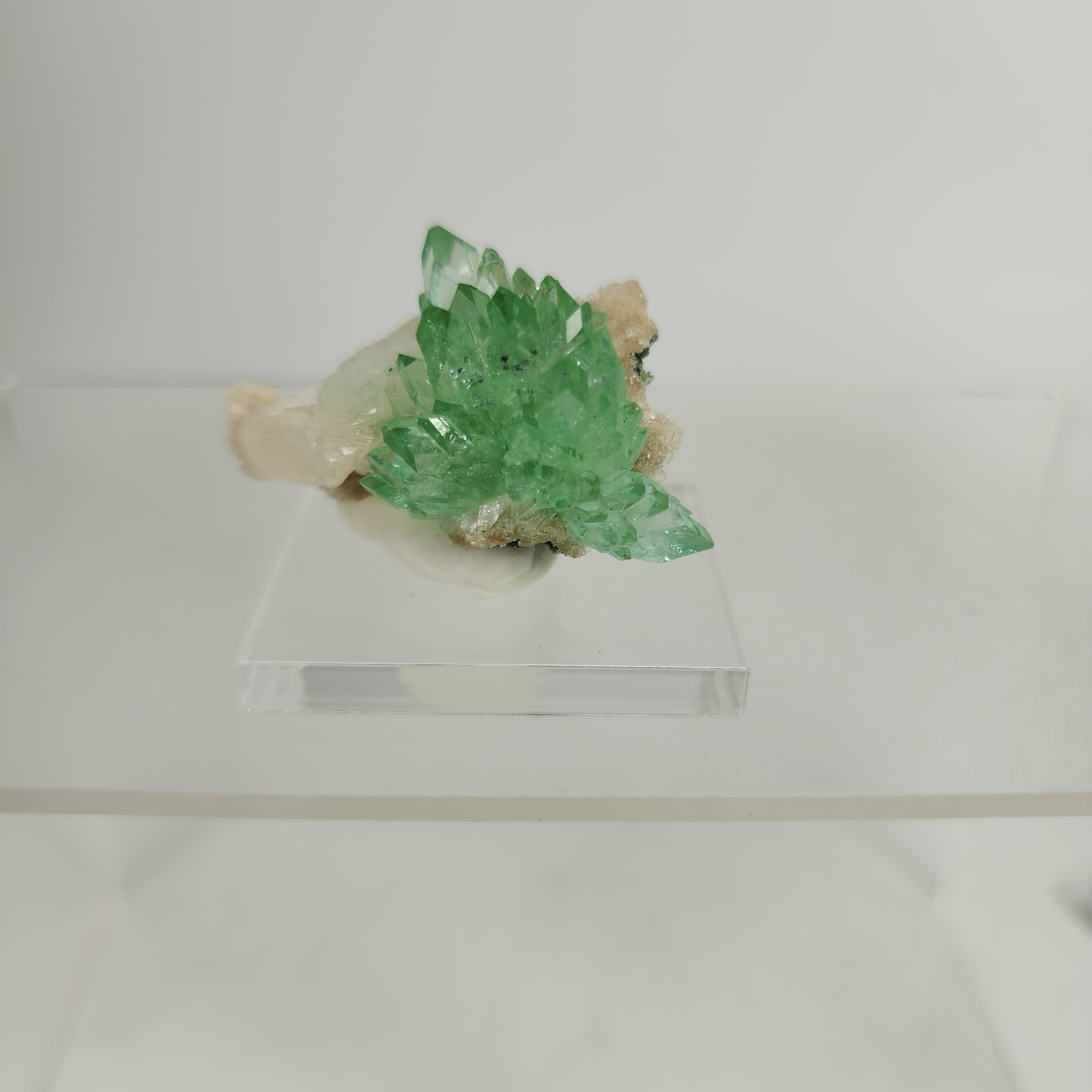 Fine Flowered Green Apophyllite Specimen #2 from Maharashtra, India