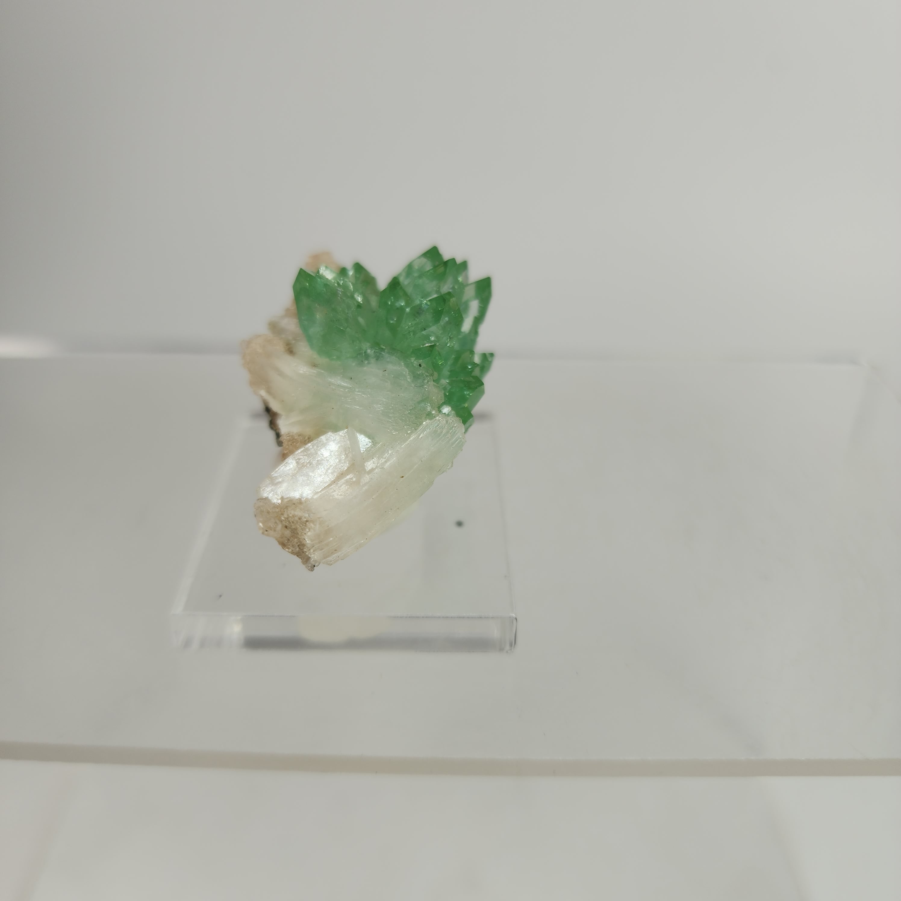 Fine Flowered Green Apophyllite Specimen #2 from Maharashtra, India