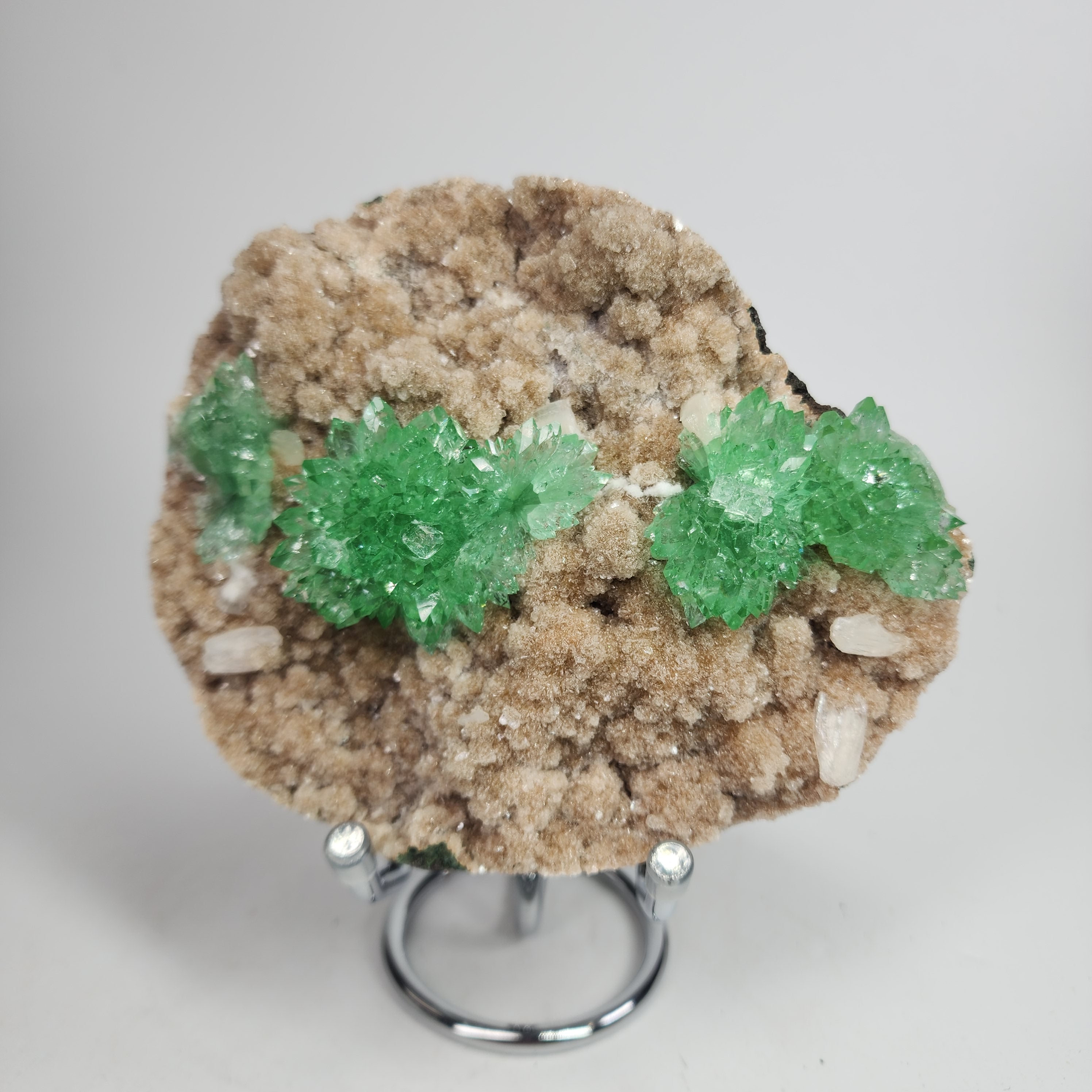 Fine Flowered Green Apophyllite Specimen #7 from Maharashtra, India