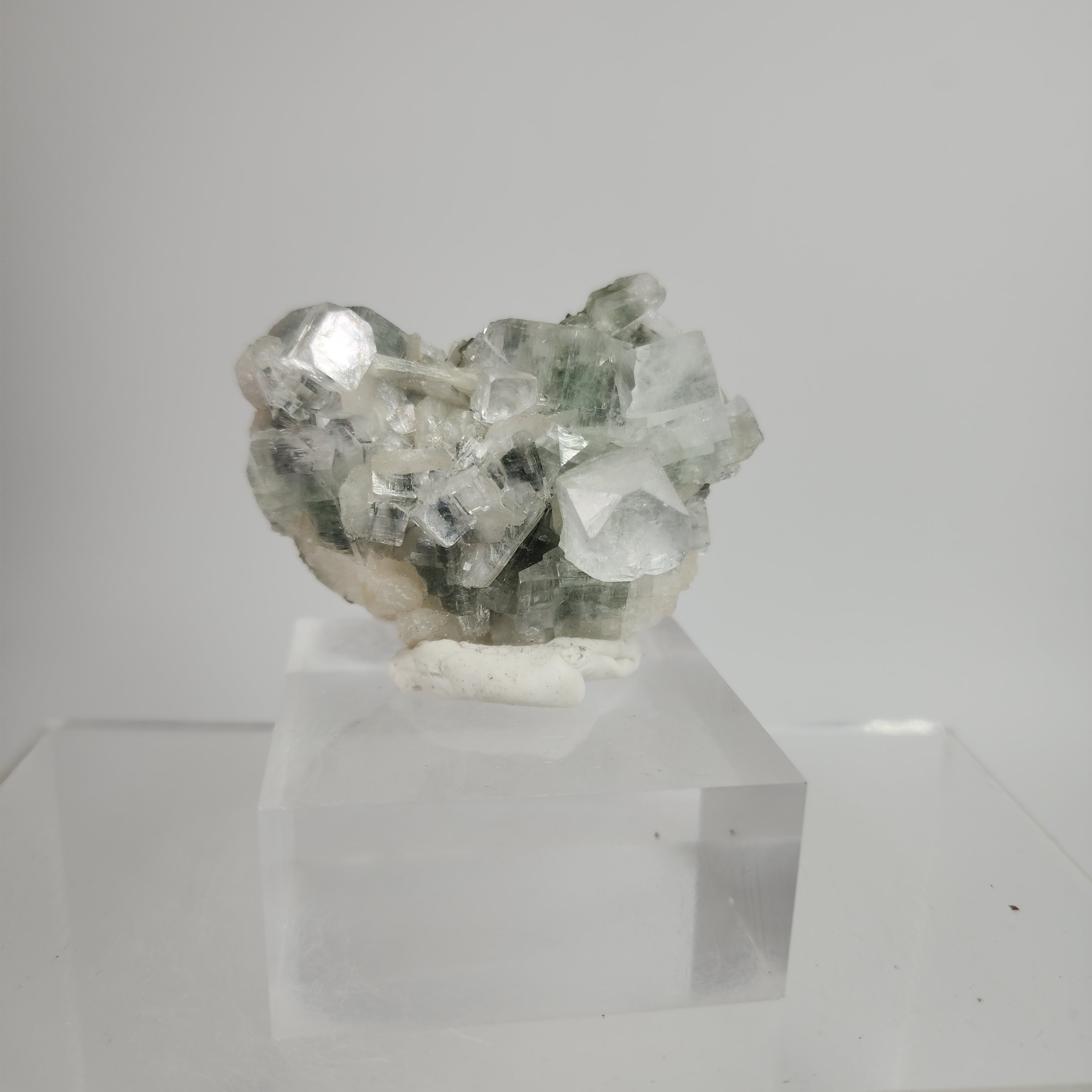 Black & Green Apophyllite with Chlorite Inclusions Specimen #9 from Ahmednagar, Maharashtra, India