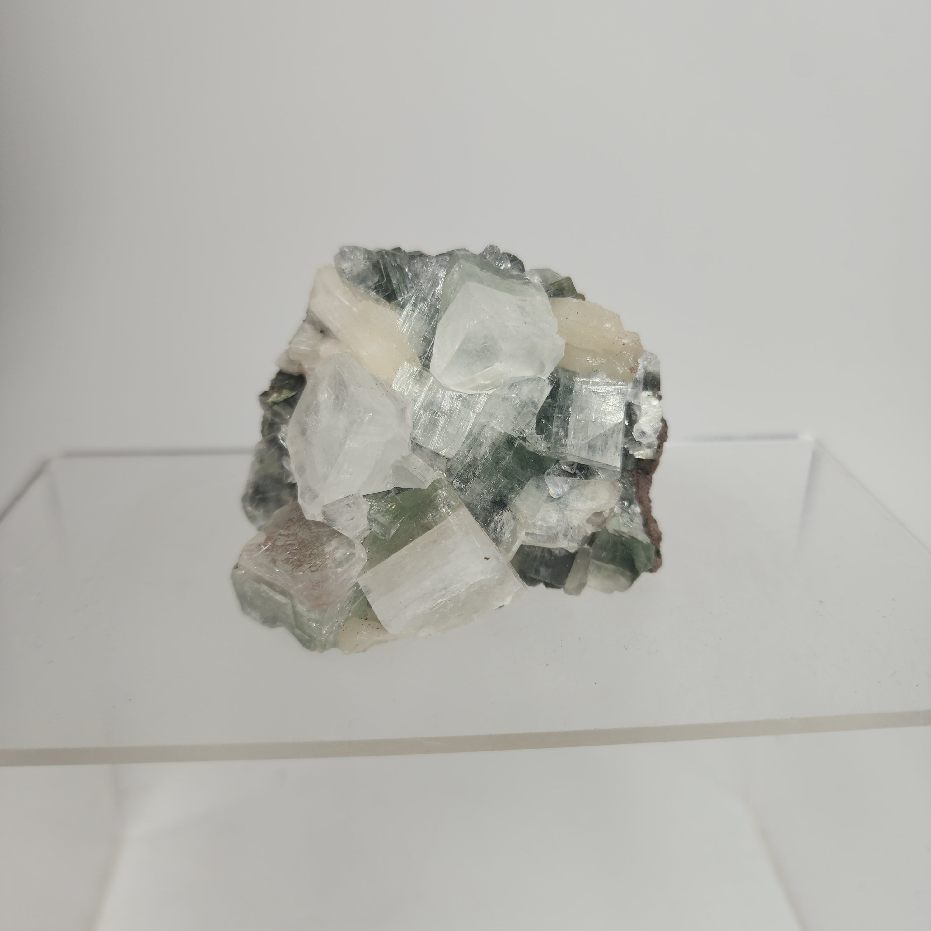 Black & Green Apophyllite with Chlorite Inclusions Specimen #31 from Ahmednagar, Maharashtra, India