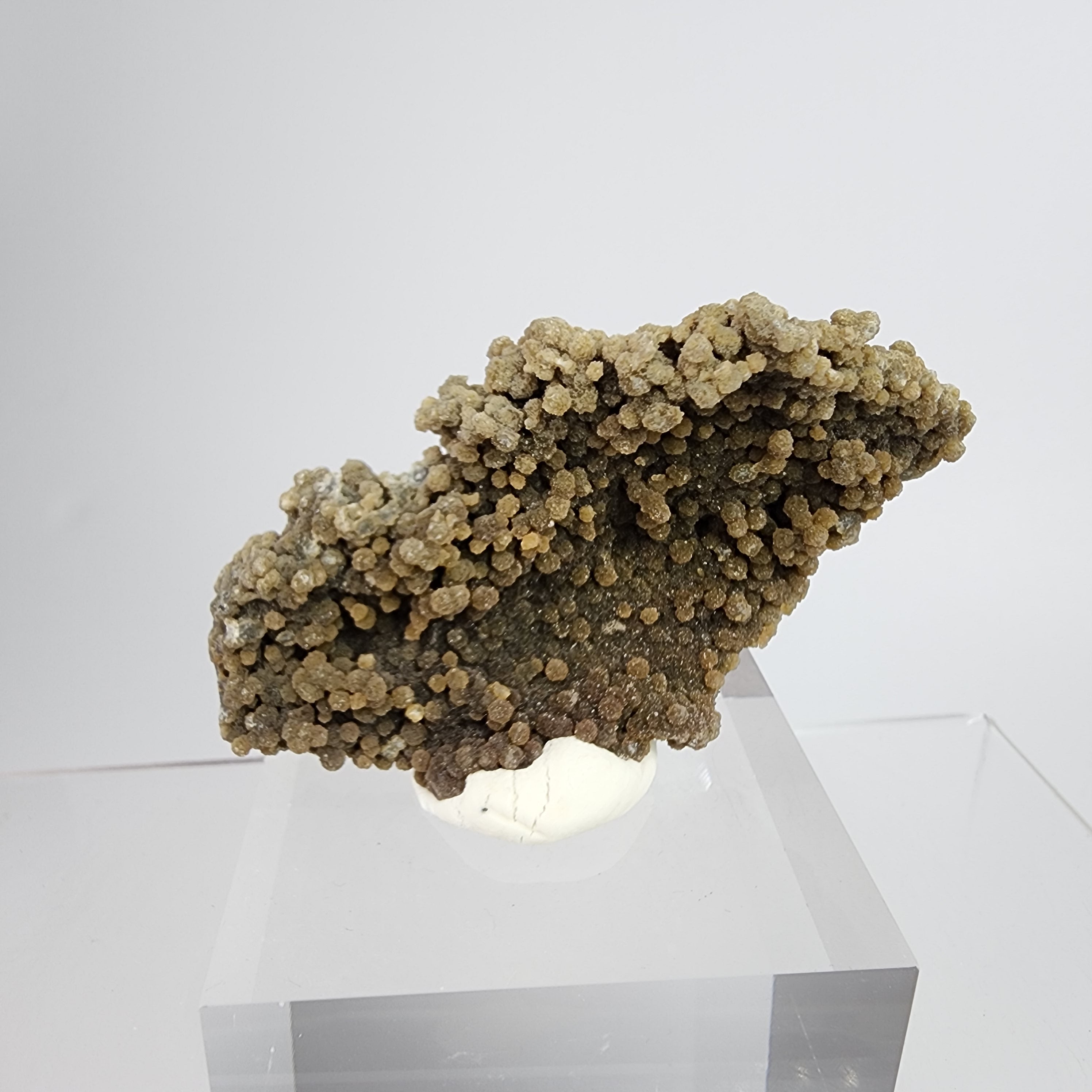 Forest Chalcedony - Bicolor Chalcedony Specimen #3 from Jalgaon District, Maharashtra, India