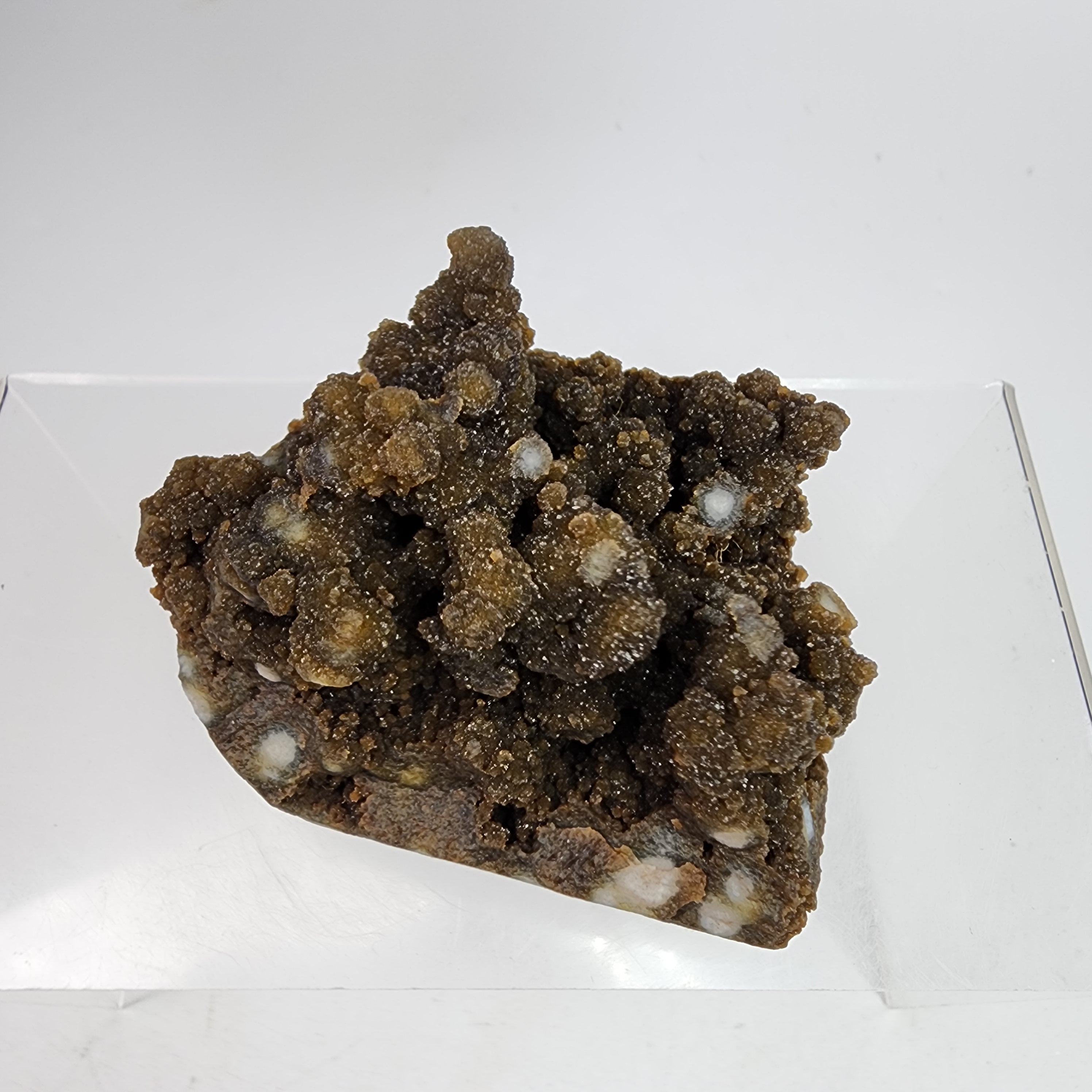 Forest Chalcedony - Bicolor Chalcedony Specimen #17 from Jalgaon District, Maharashtra, India