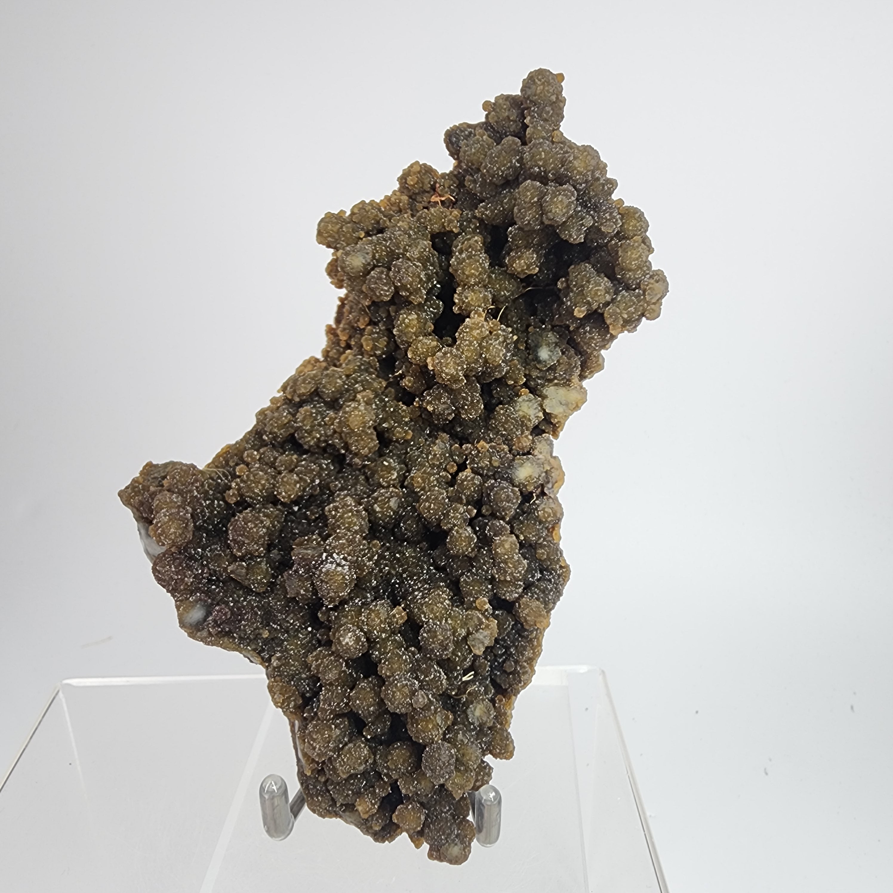 Forest Chalcedony - Bicolor Chalcedony Specimen #20 from Jalgaon District, Maharashtra, India