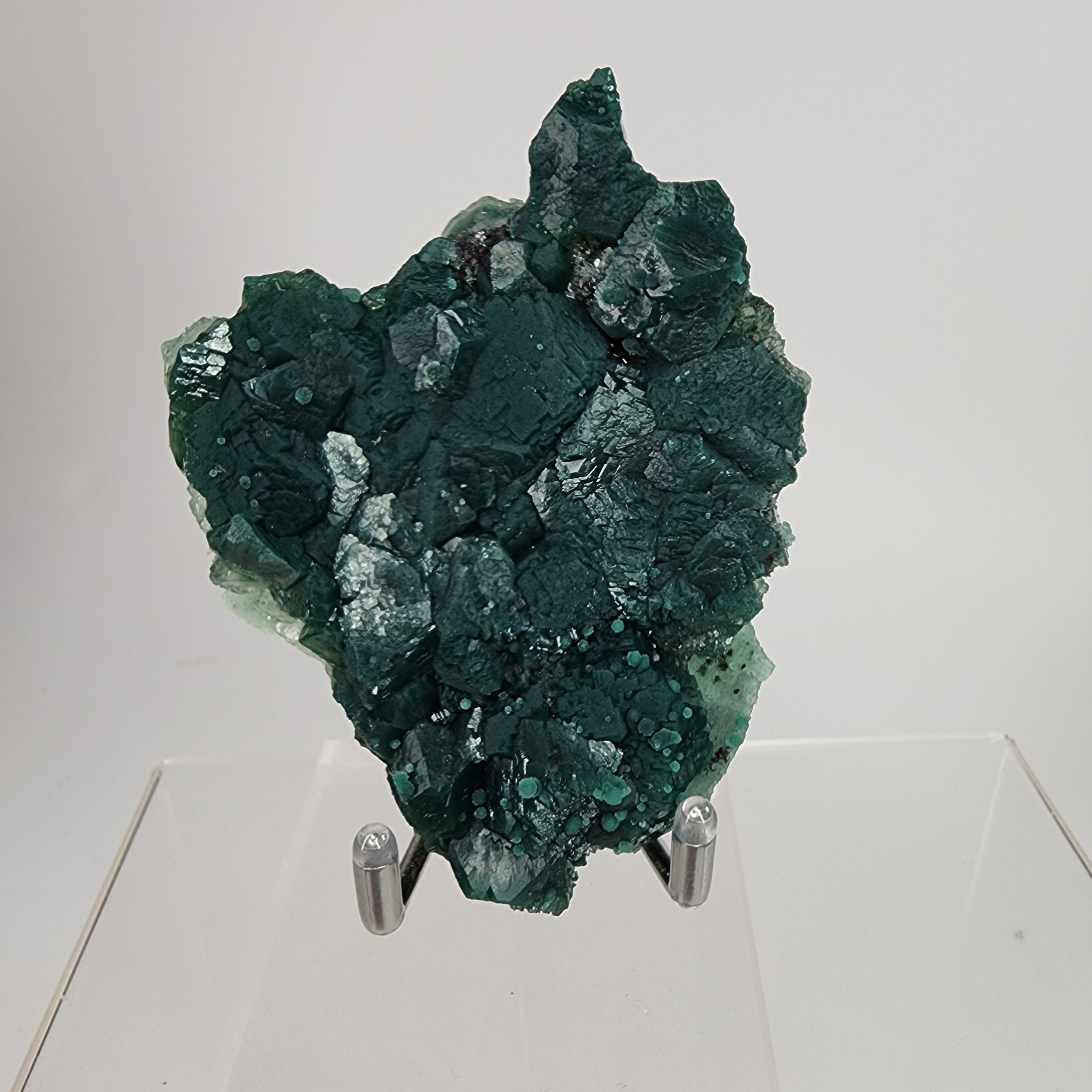 Marshy Apophyllite (Celadonite Included Apophyllite) with Green Chalcedony Specimen #7  from Jalgaon District, Maharashtra, India