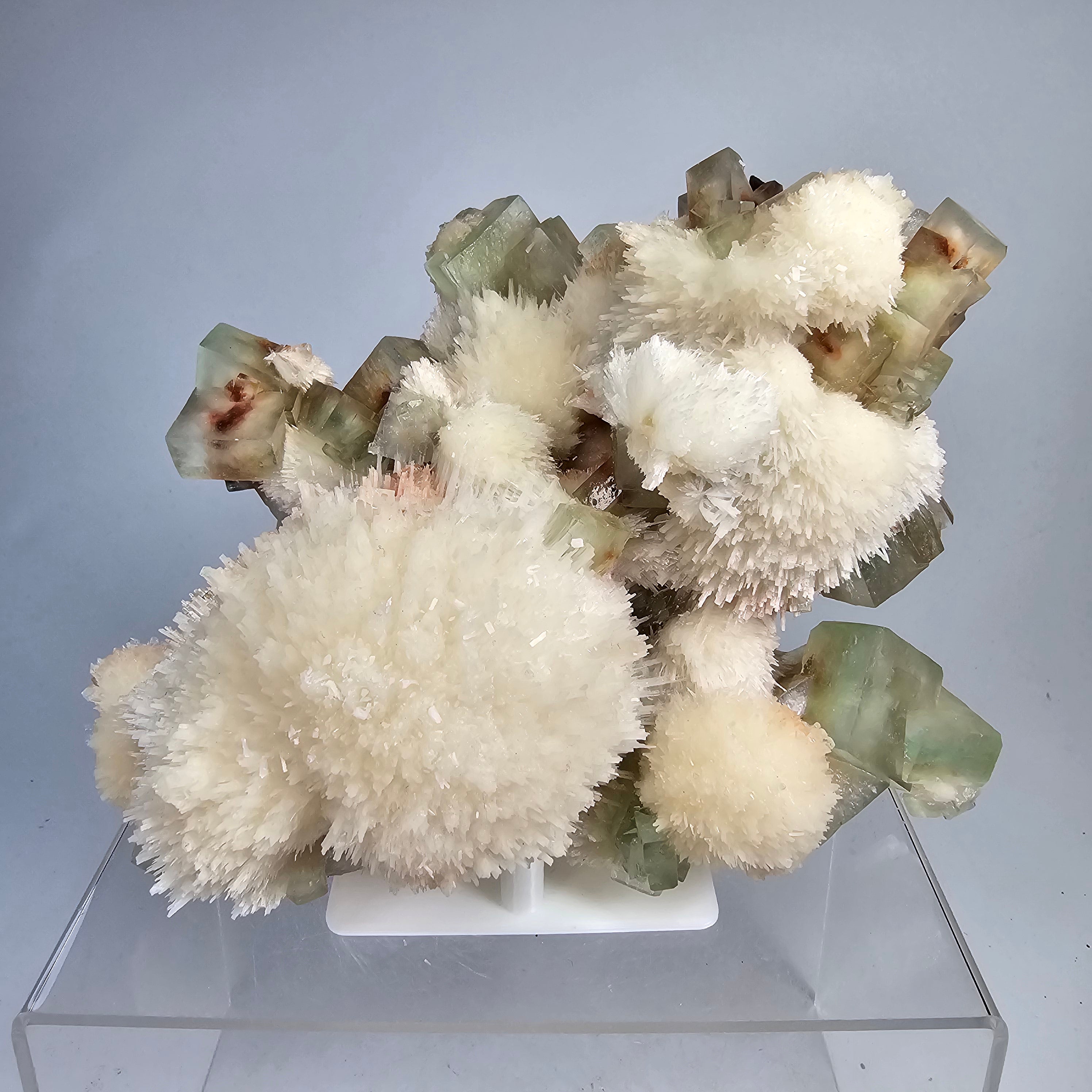 Prickly Pear Apophyllite - Green Apophyllite with Hematite Phantoms & Mordenite from Specimen #11 Shrirampur, Maharashtra, India