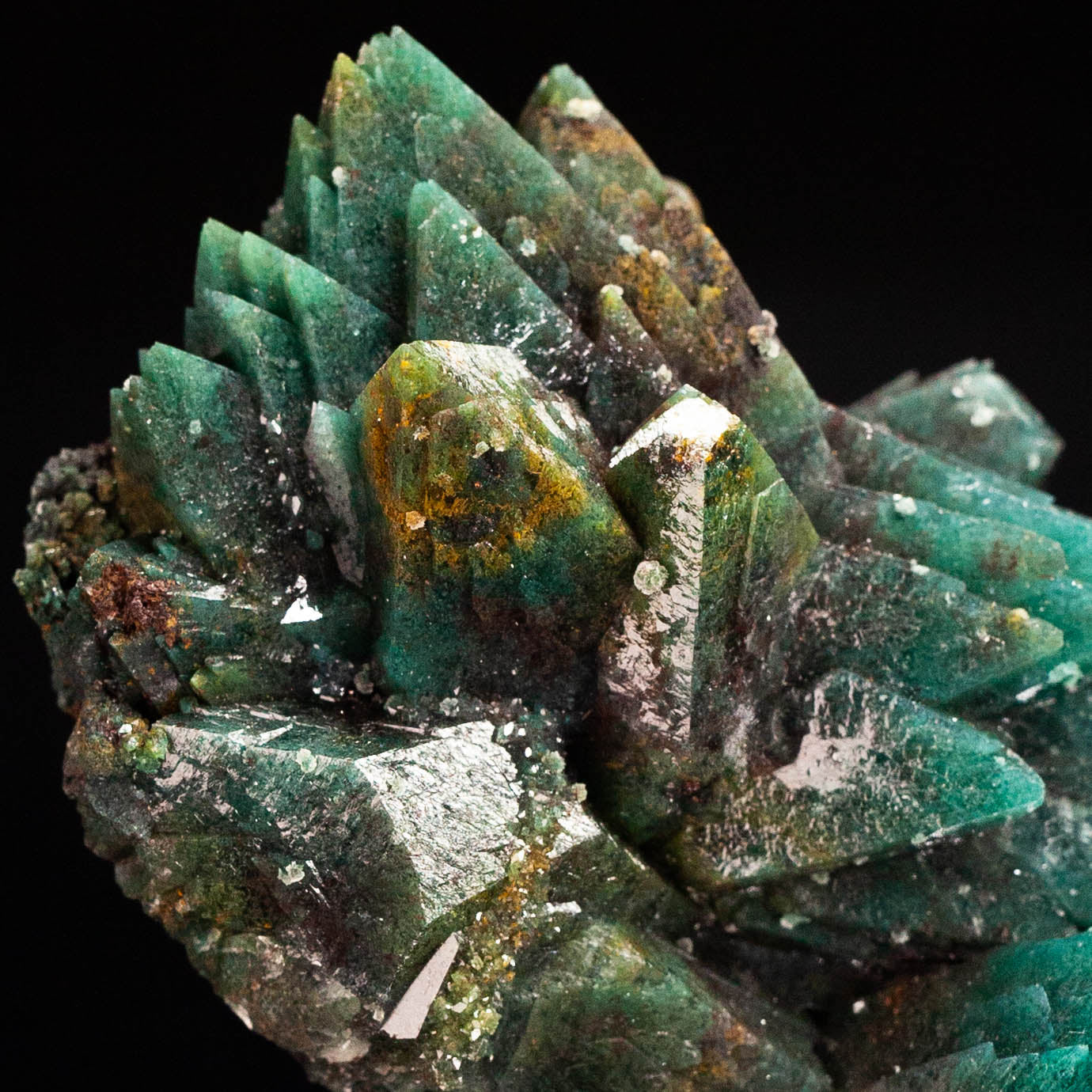 Fine Marshy Apophyllite - Celadonite & Hematite Included Apophyllite Specimen #2 from Jalgaon, Maharashtra, India