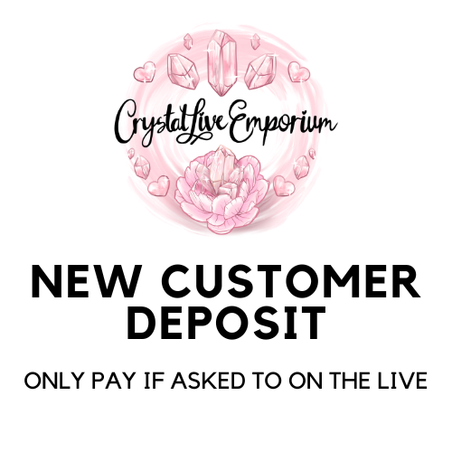 $200 Deposit Towards Order for New Customer