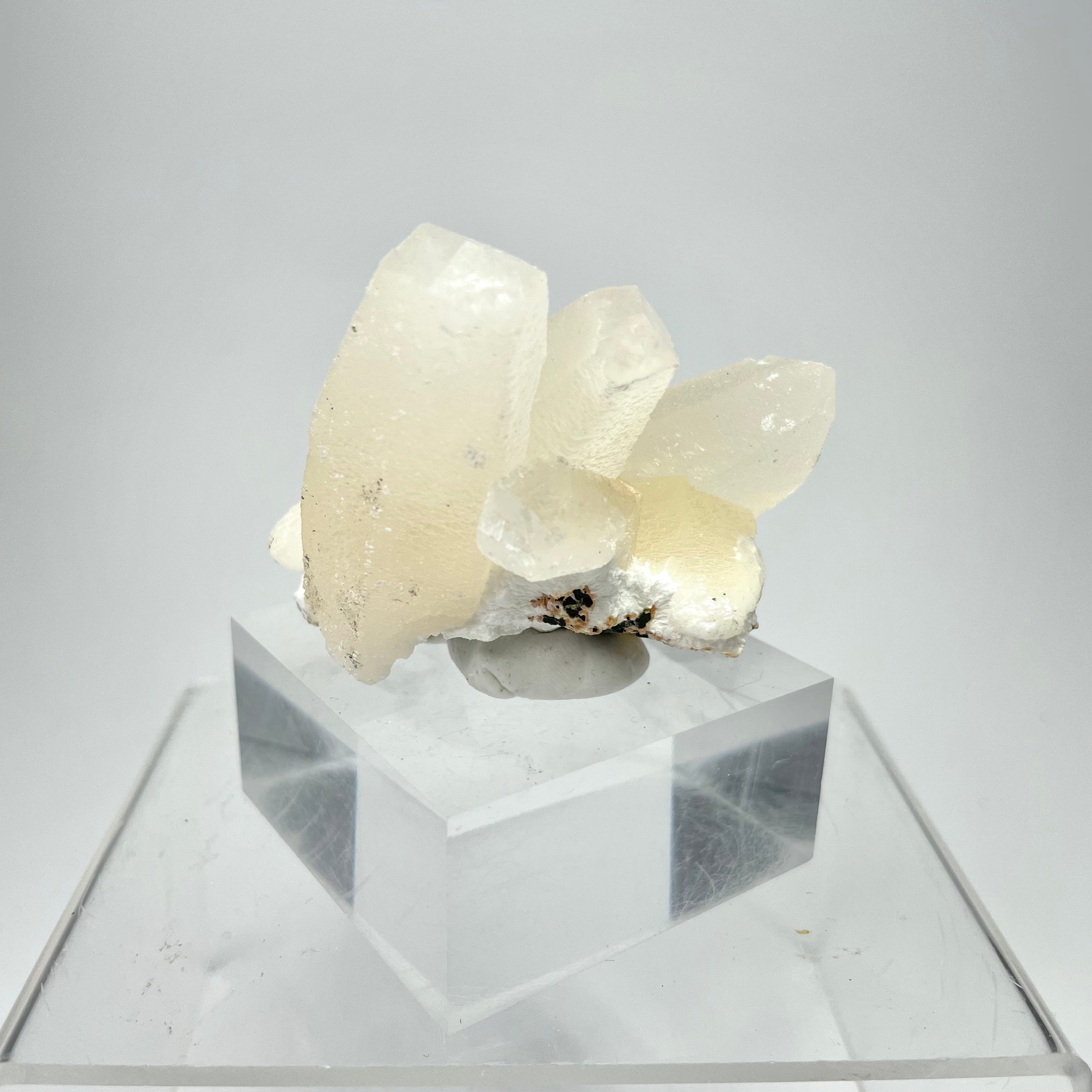 Dog Tooth Calcite on Mordenite Specimen #1 from Aurangabad, Maharashtra, India #002