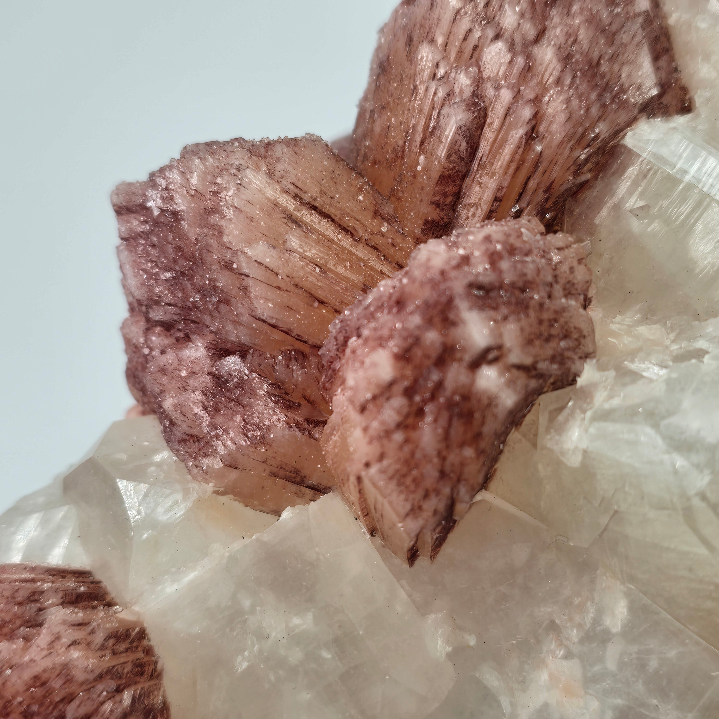 Cherry Jubilee Apophyllite - Cubic Apophyllite with Hematite Included Stilbite Specimen #1  from Nashik District, Maharashtra, India