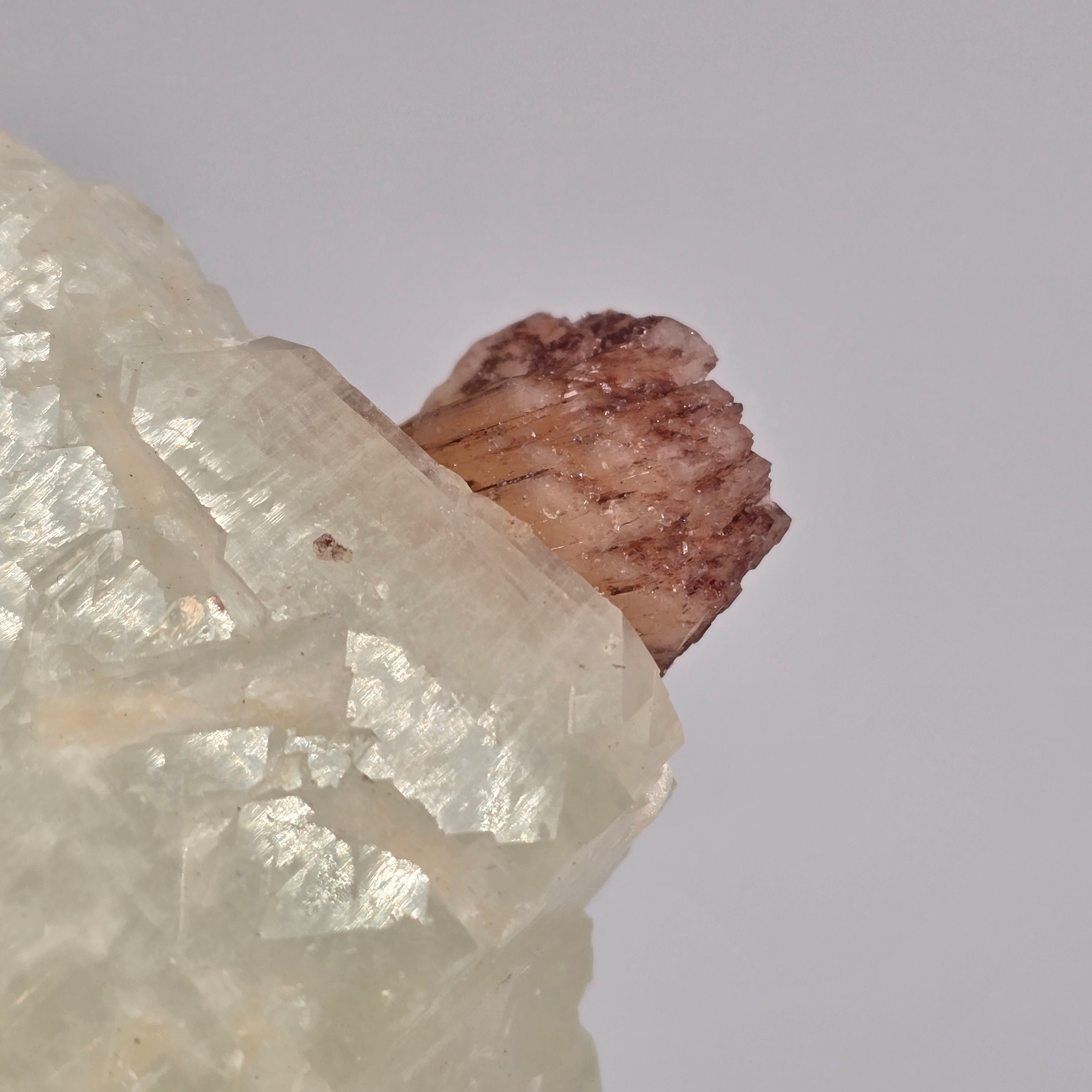 Cherry Jubilee Apophyllite - Cubic Apophyllite with Hematite Included Stilbite Specimen #7 from Nashik District, Maharashtra, India