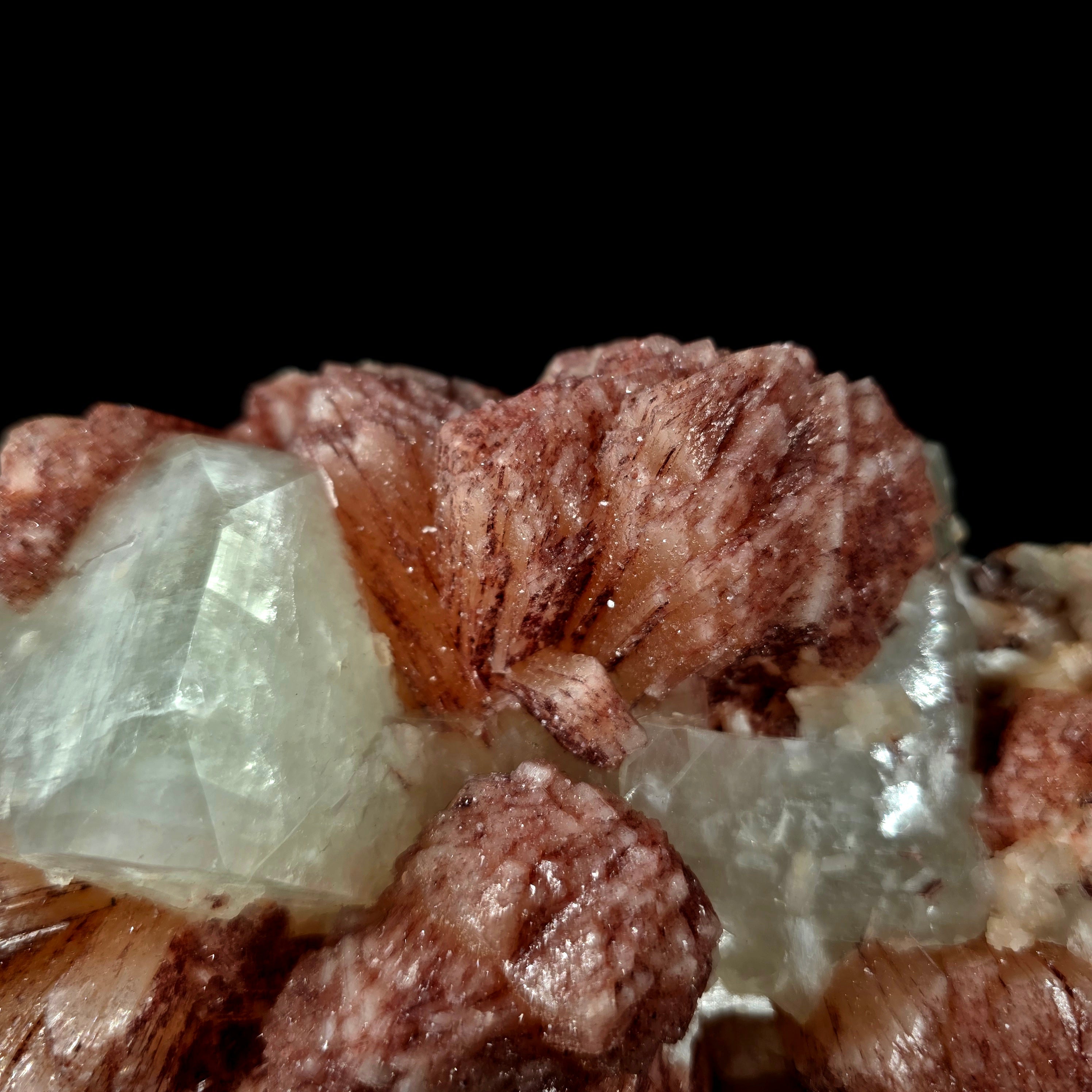 Cherry Jubilee Apophyllite - Cubic Apophyllite with Hematite Included Stilbite and Powellite Specimen #17 from Nashik District, Maharashtra, India