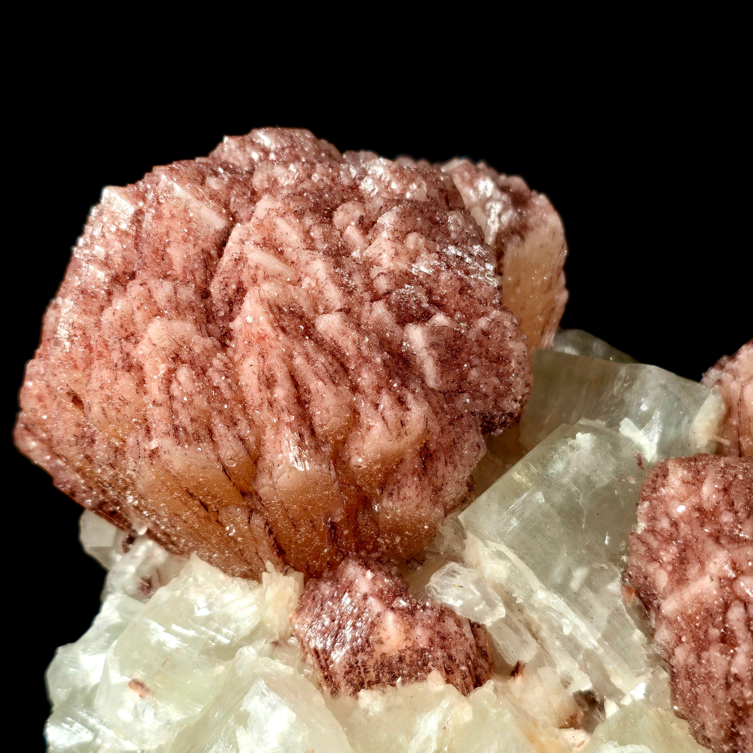 Cherry Jubilee Apophyllite - Cubic Apophyllite with Hematite Included Stilbite and Powellite Specimen #13 from Nashik District, Maharashtra, India