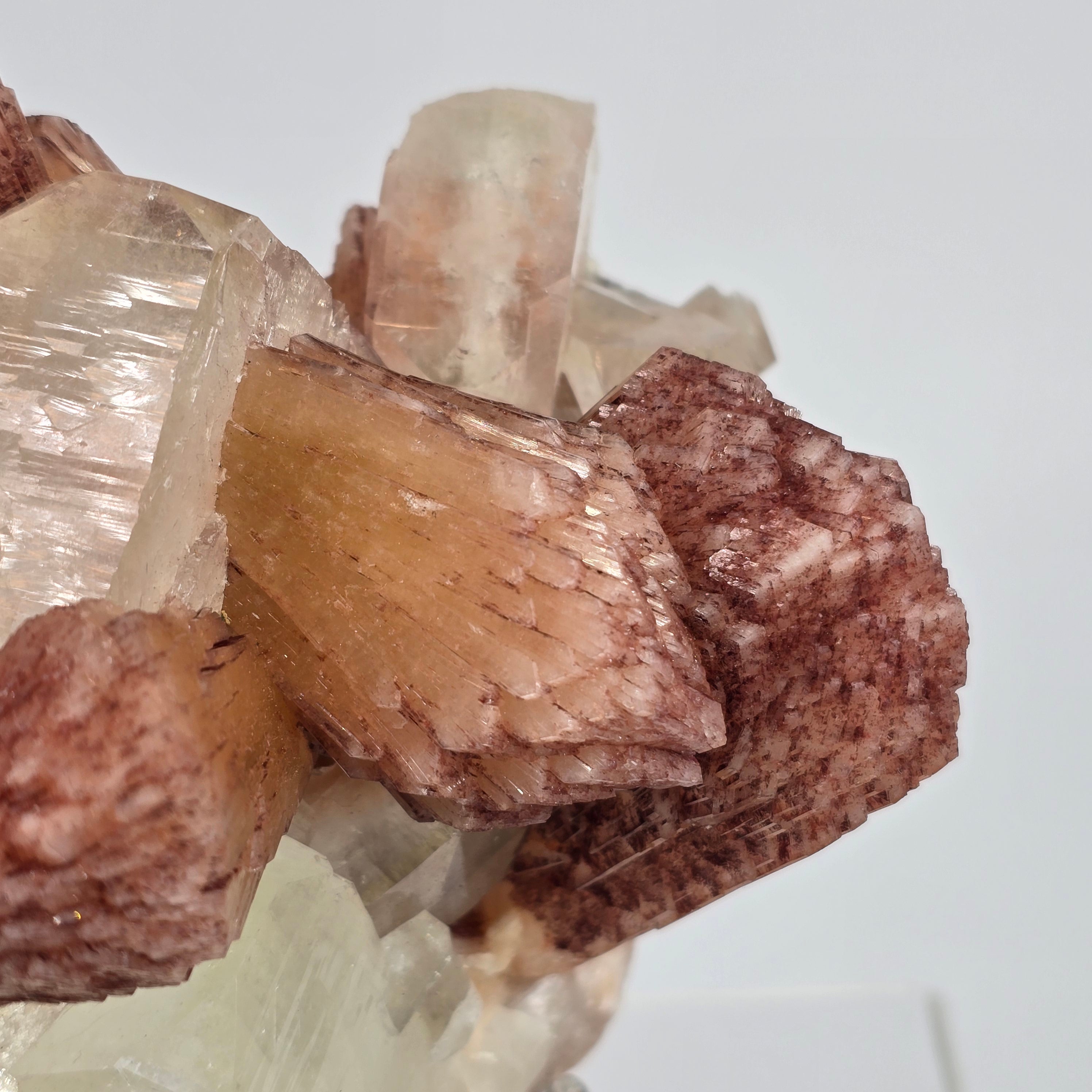 Cherry Jubilee Apophyllite - Cubic Apophyllite with Hematite Included Stilbite Specimen #9 from Nashik District, Maharashtra, India