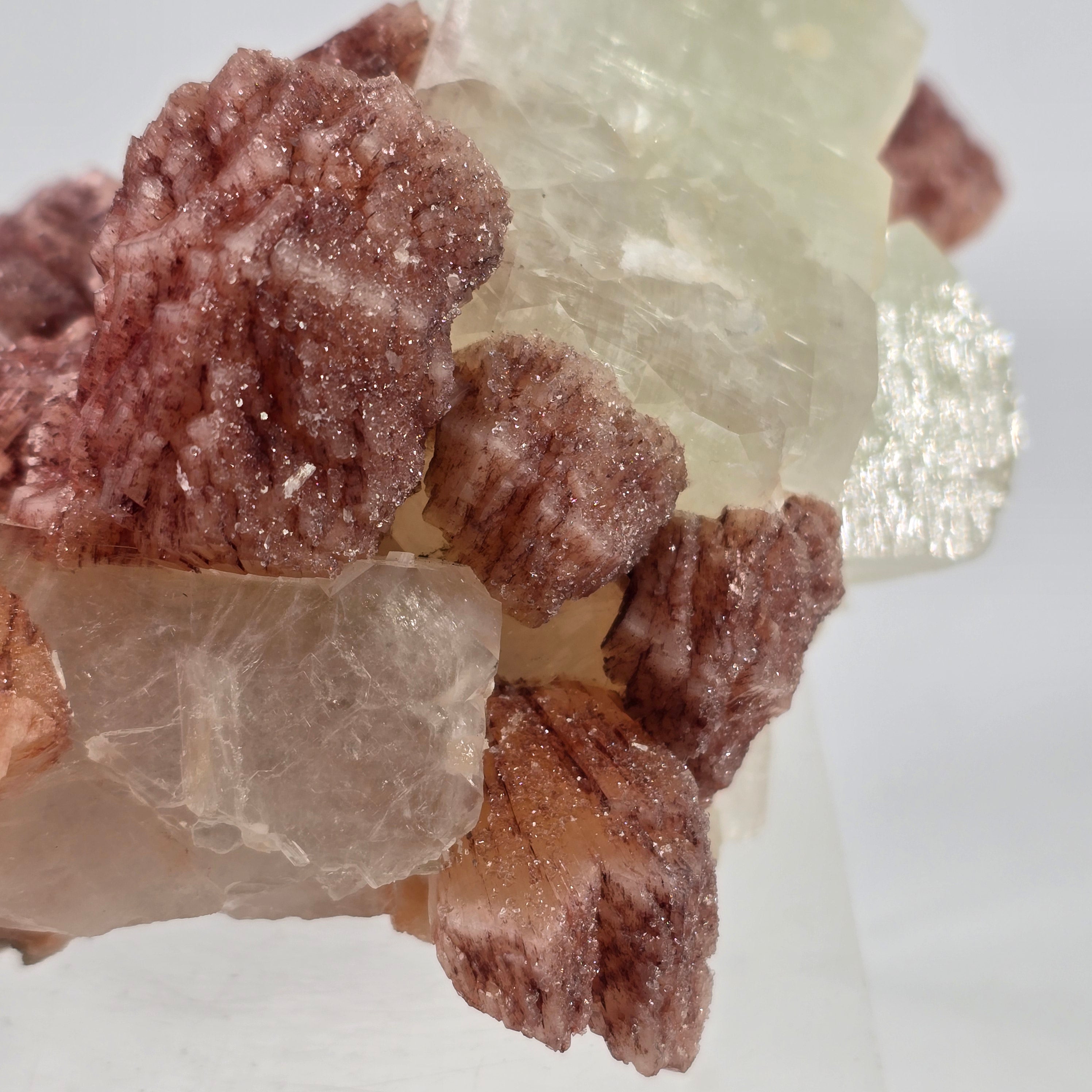 Cherry Jubilee Apophyllite - Cubic Apophyllite with Hematite Included Stilbite Specimen #10 from Nashik District, Maharashtra, India