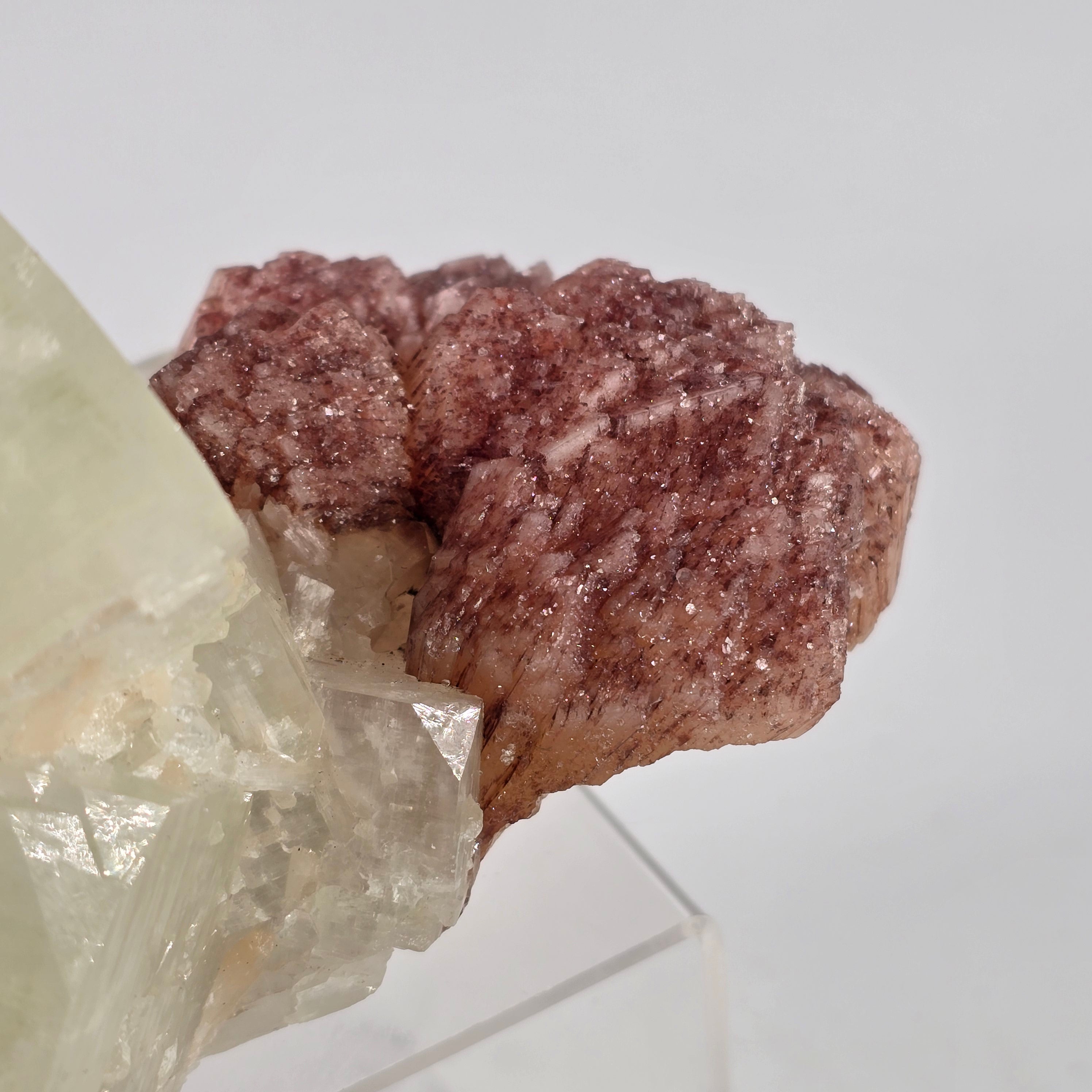 Cherry Jubilee Apophyllite - Cubic Apophyllite with Hematite Included Stilbite Specimen #10 from Nashik District, Maharashtra, India