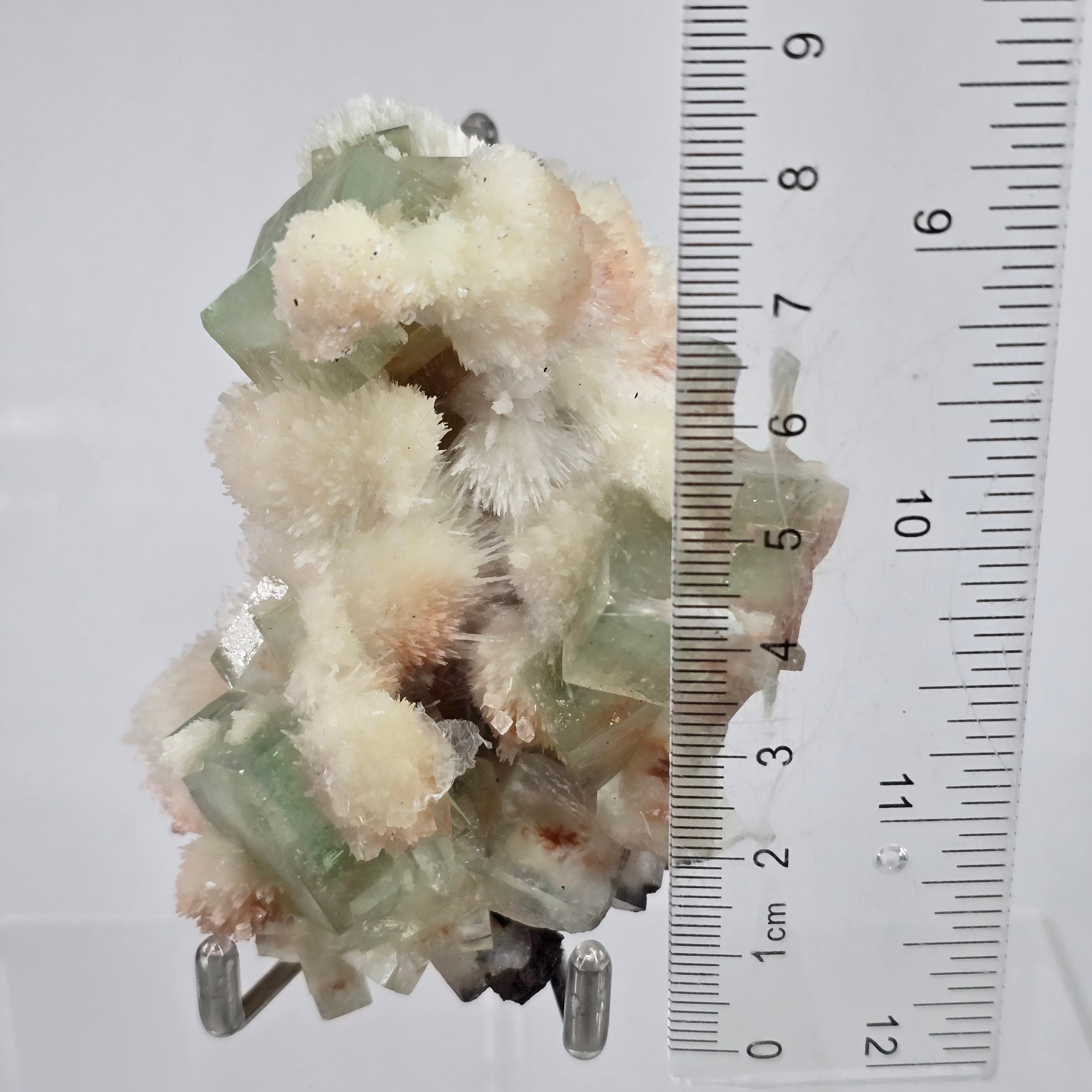 Prickly Pear Apophyllite - Green Apophyllite with Hematite Phantoms & Mordenite from Specimen #23 Shrirampur, Maharashtra, India