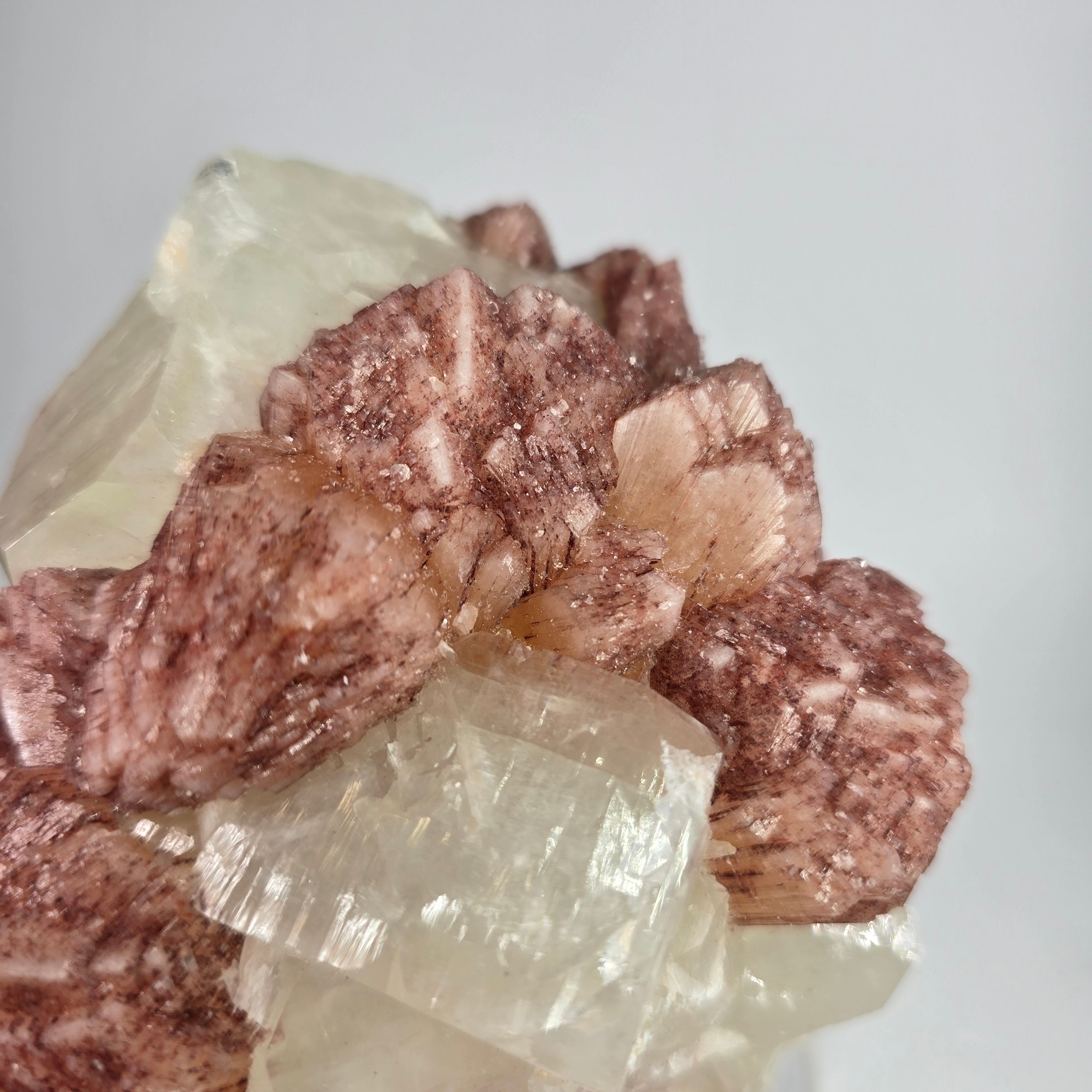 Cherry Jubilee Apophyllite - Cubic Apophyllite with Hematite Included Stilbite Specimen #2 from Nashik District, Maharashtra, India